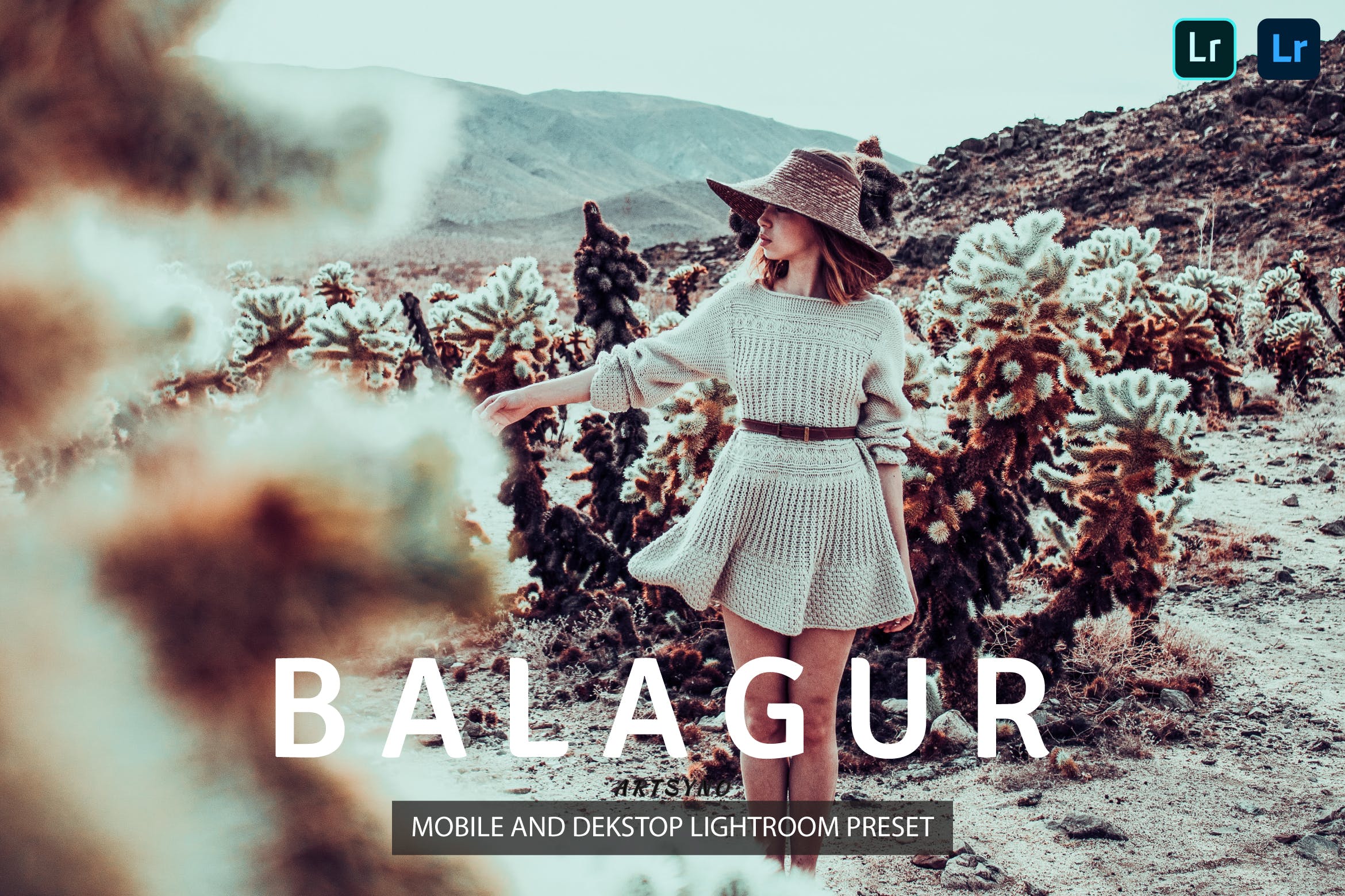 巴拉古尔调色预设 Balagur Lightroom Presets Dekstop and Mobile