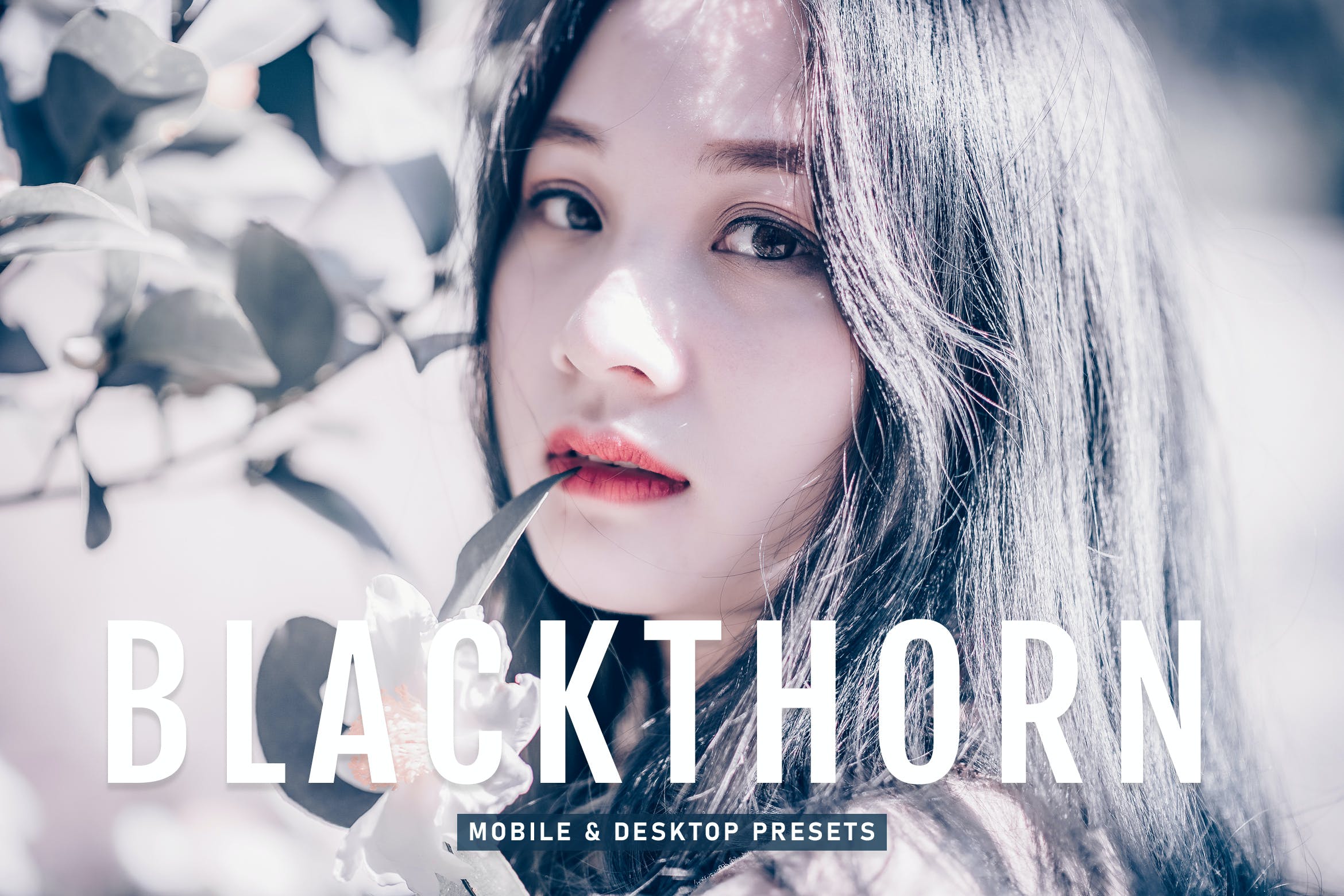 黑刺调色预设 Blackthorn Mobile & Desktop Lightroom Presets
