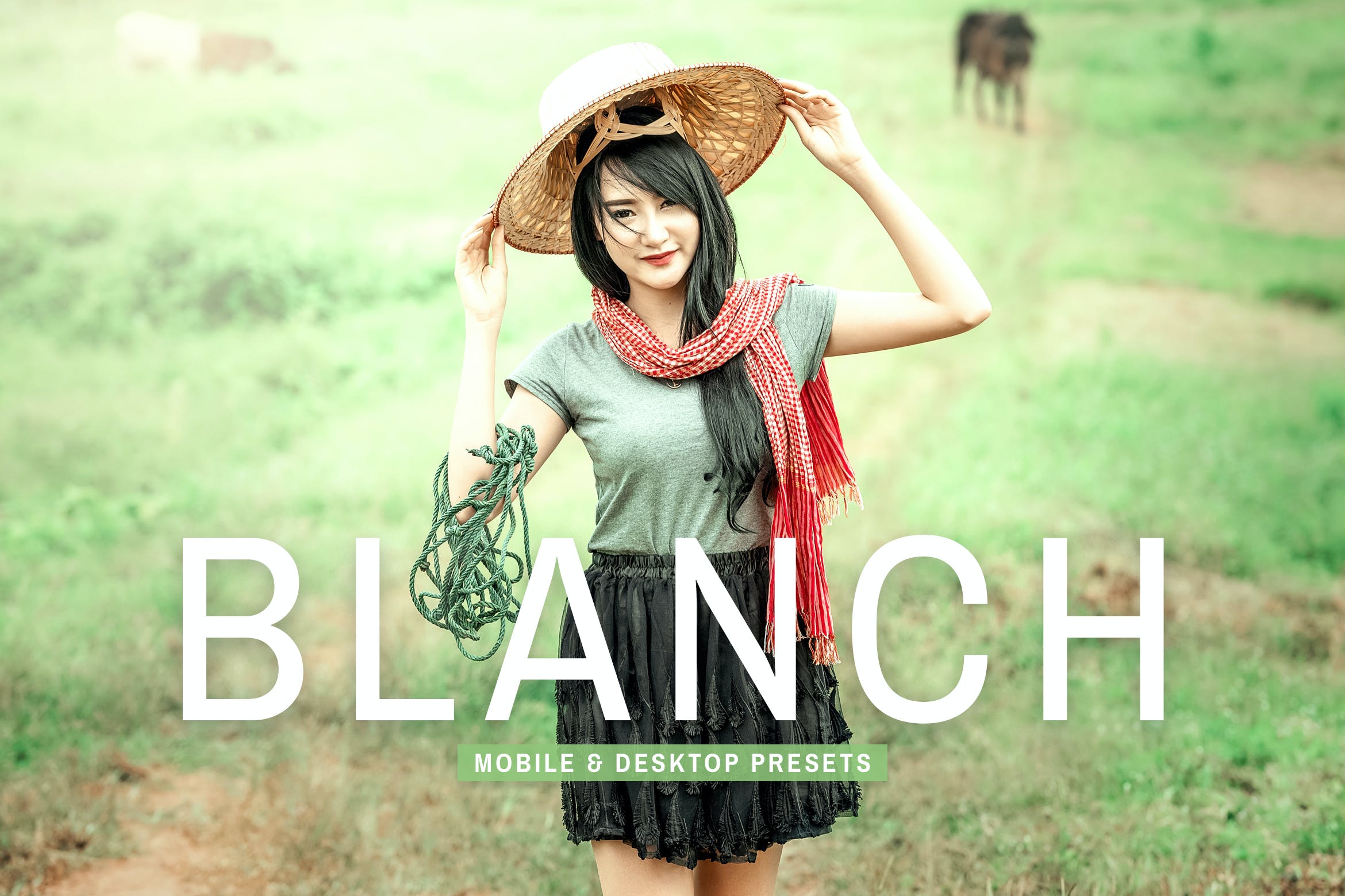 Blanch Mobile & Desktop Lightroom Presets