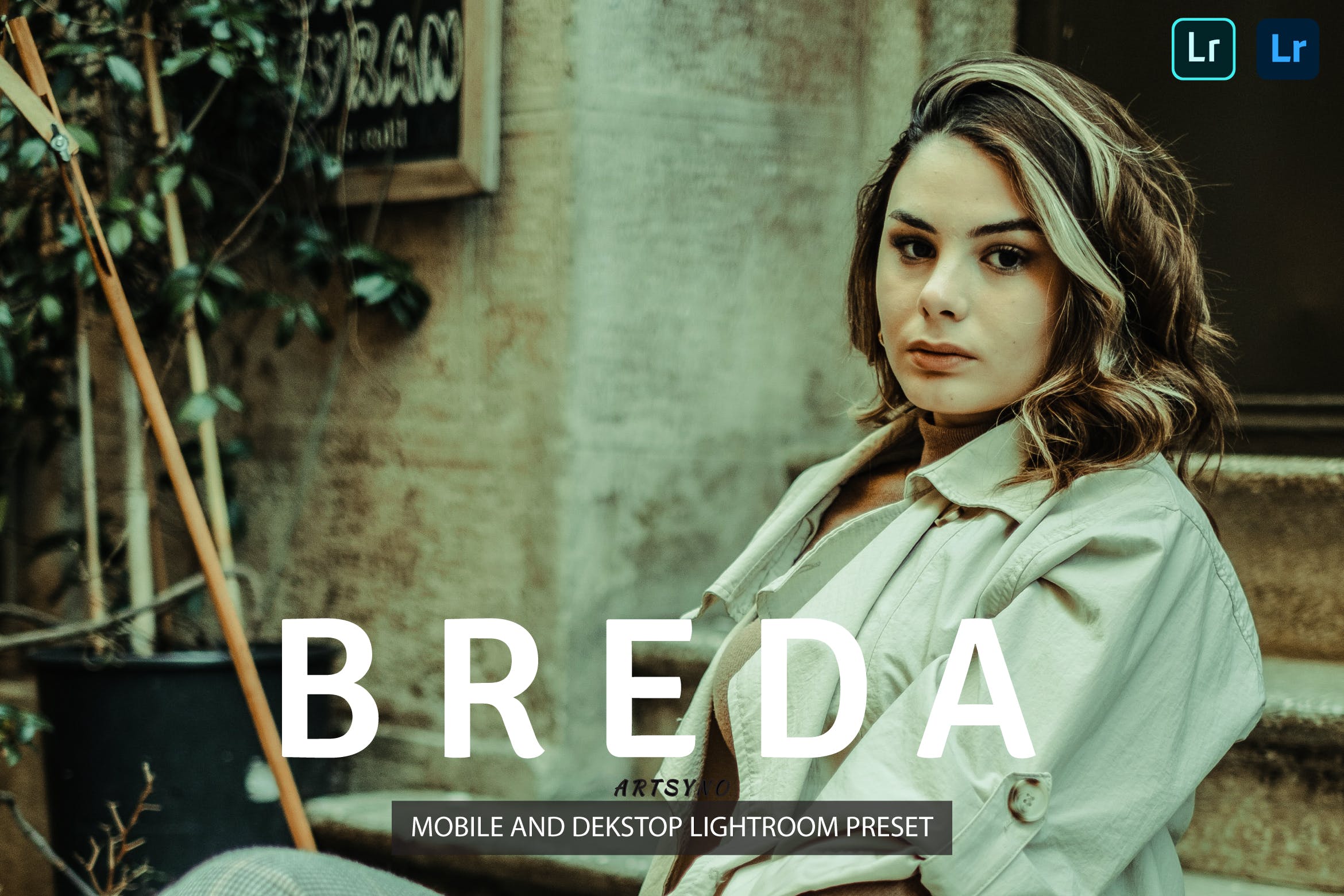 布雷达调色预设 Breda Lightroom Presets Dekstop and Mobile