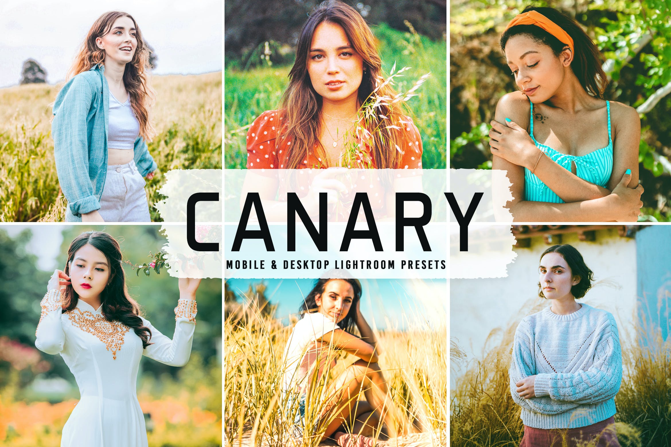 自然的调色预设 Canary Mobile & Desktop Lightroom Presets