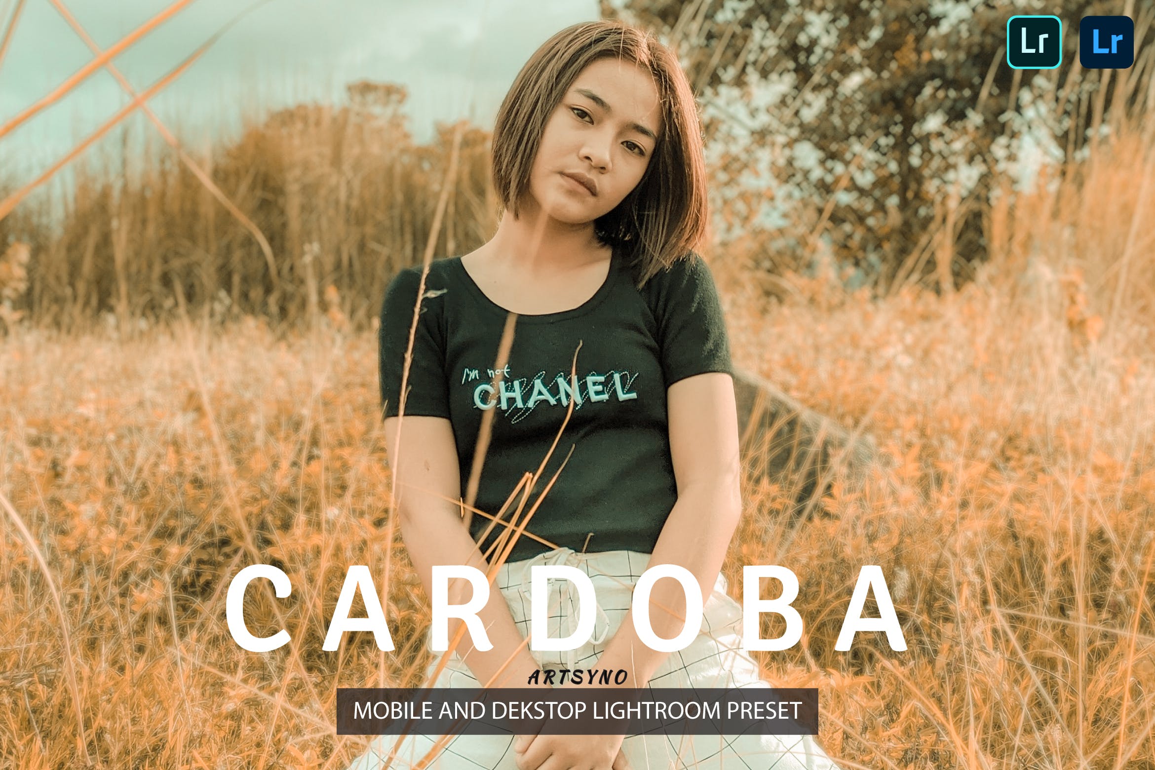 卡多瓦调色预设 Cardoba Lightroom Presets Dekstop and Mobile