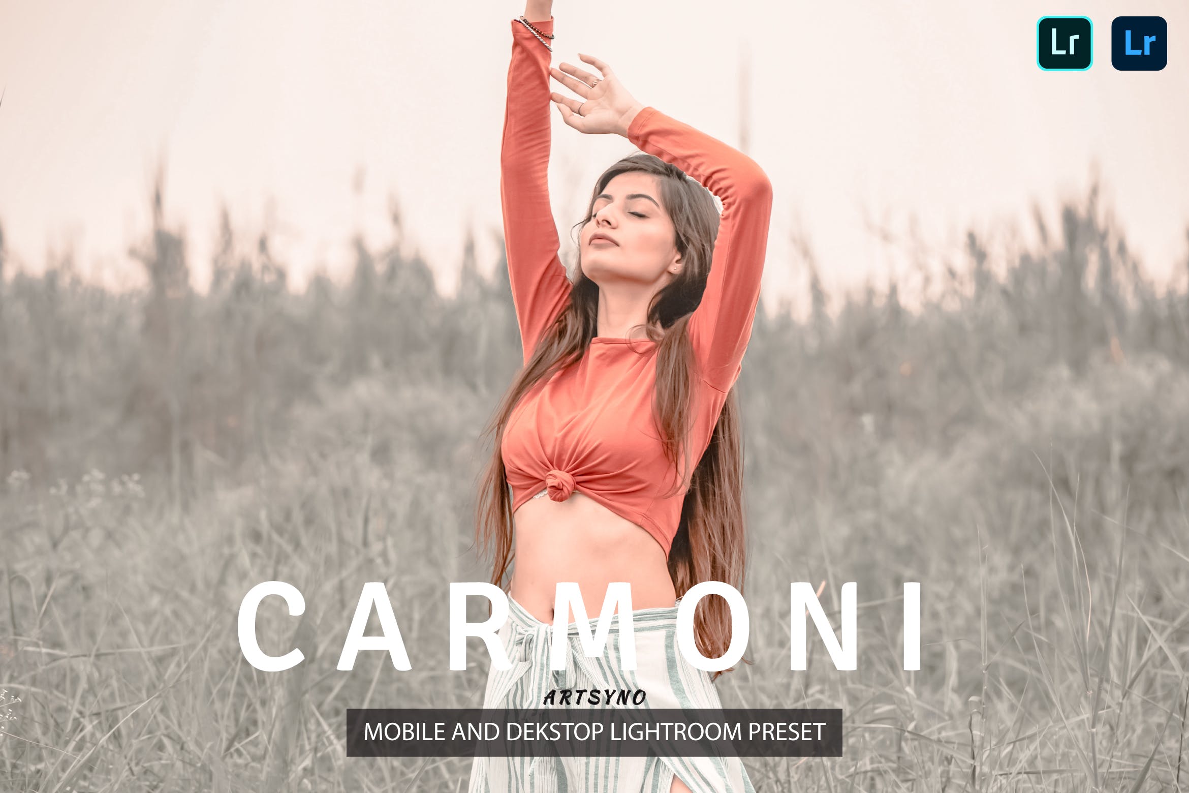 卡莫尼调色预设 Carmoni Lightroom Presets Dekstop and Mobile