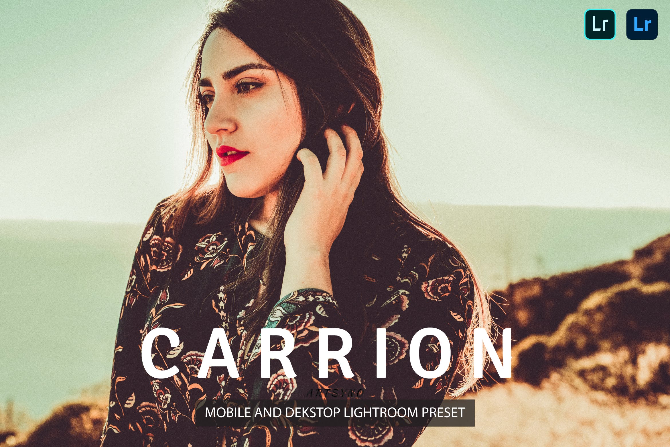 艺术的调色预设 Carrion Lightroom Presets Dekstop and Mobile