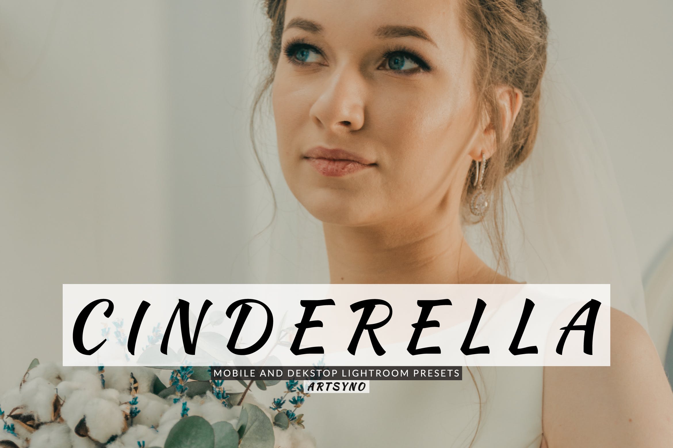 灰姑娘调色预设 Cinderella Lightroom Presets Dekstop and Mobile