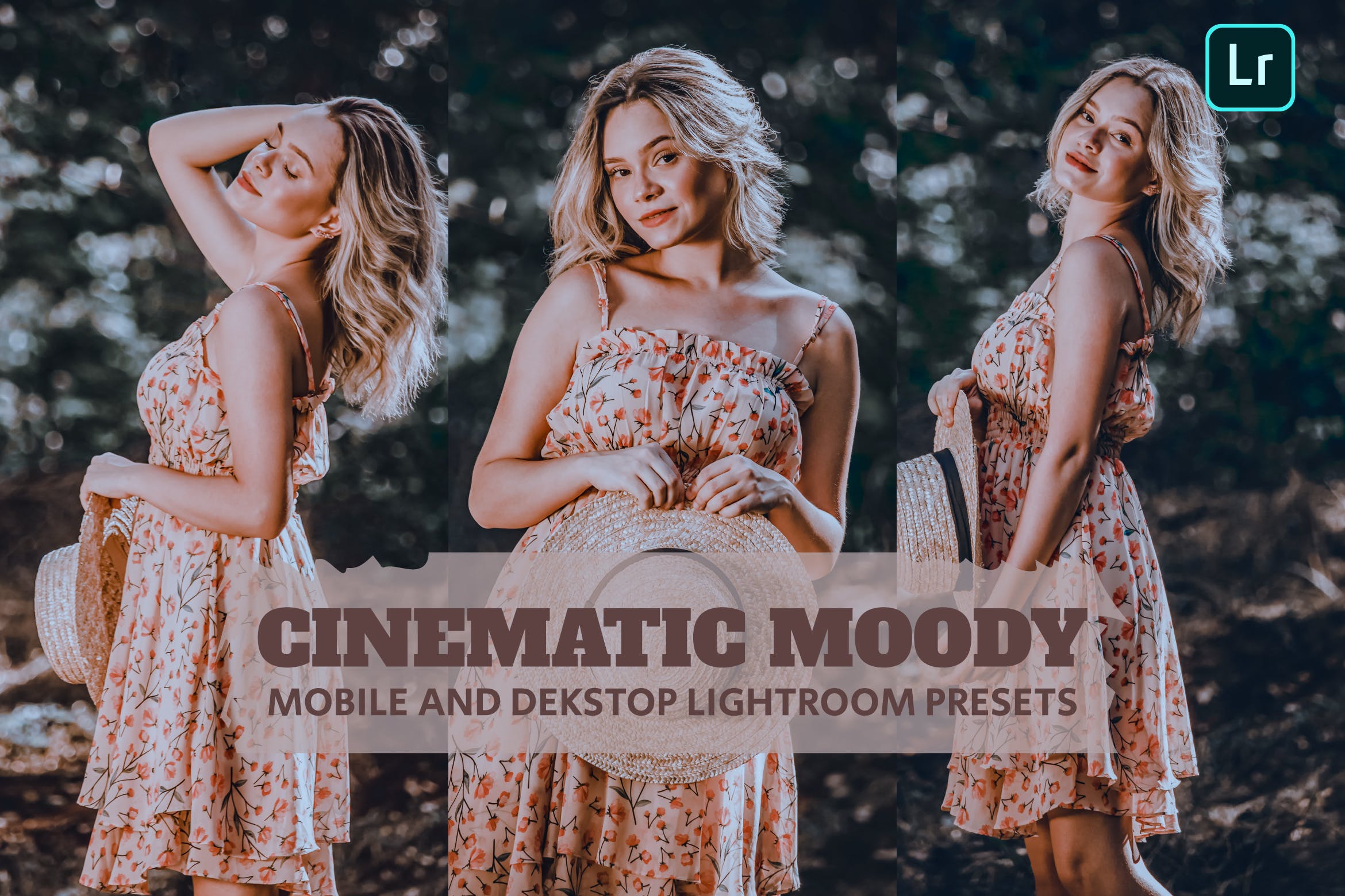 电影穆迪调色预设 Cinematic Moody Lightroom Presets Dekstop Mobile