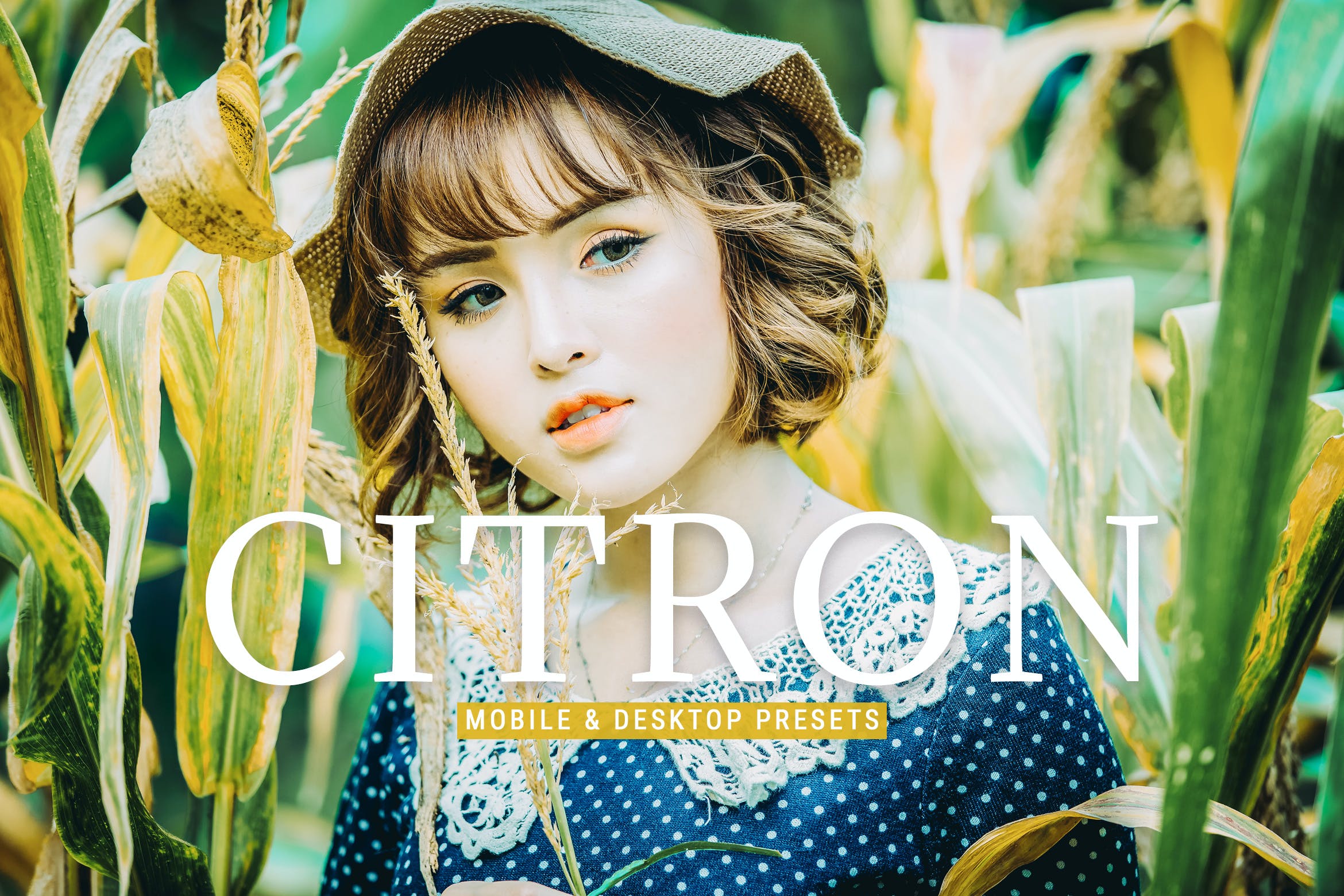 生活方式调色预设 Citron Mobile & Desktop Lightroom Presets