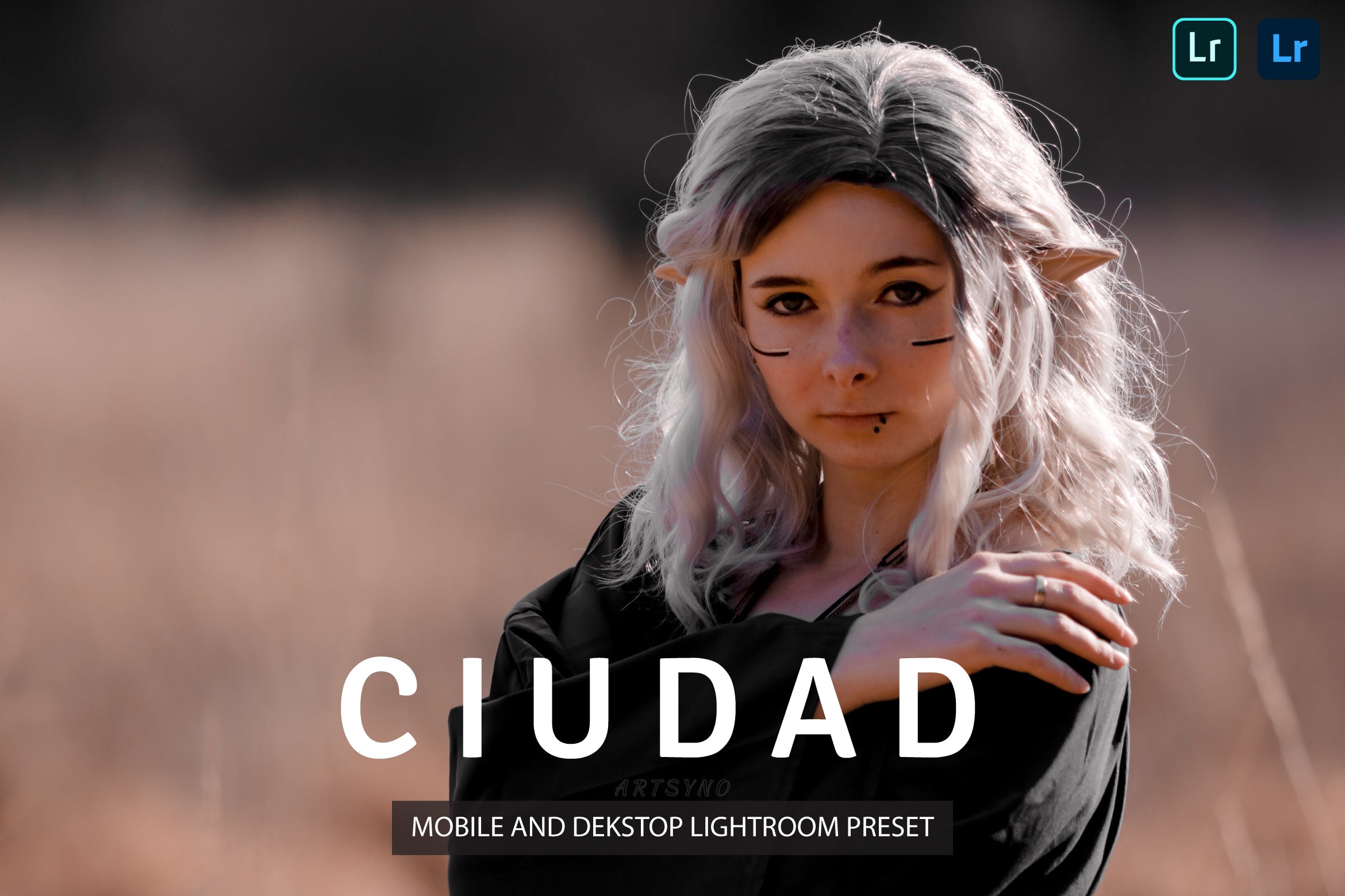 休达调色预设 Ciudad Lightroom Presets Dekstop and Mobile