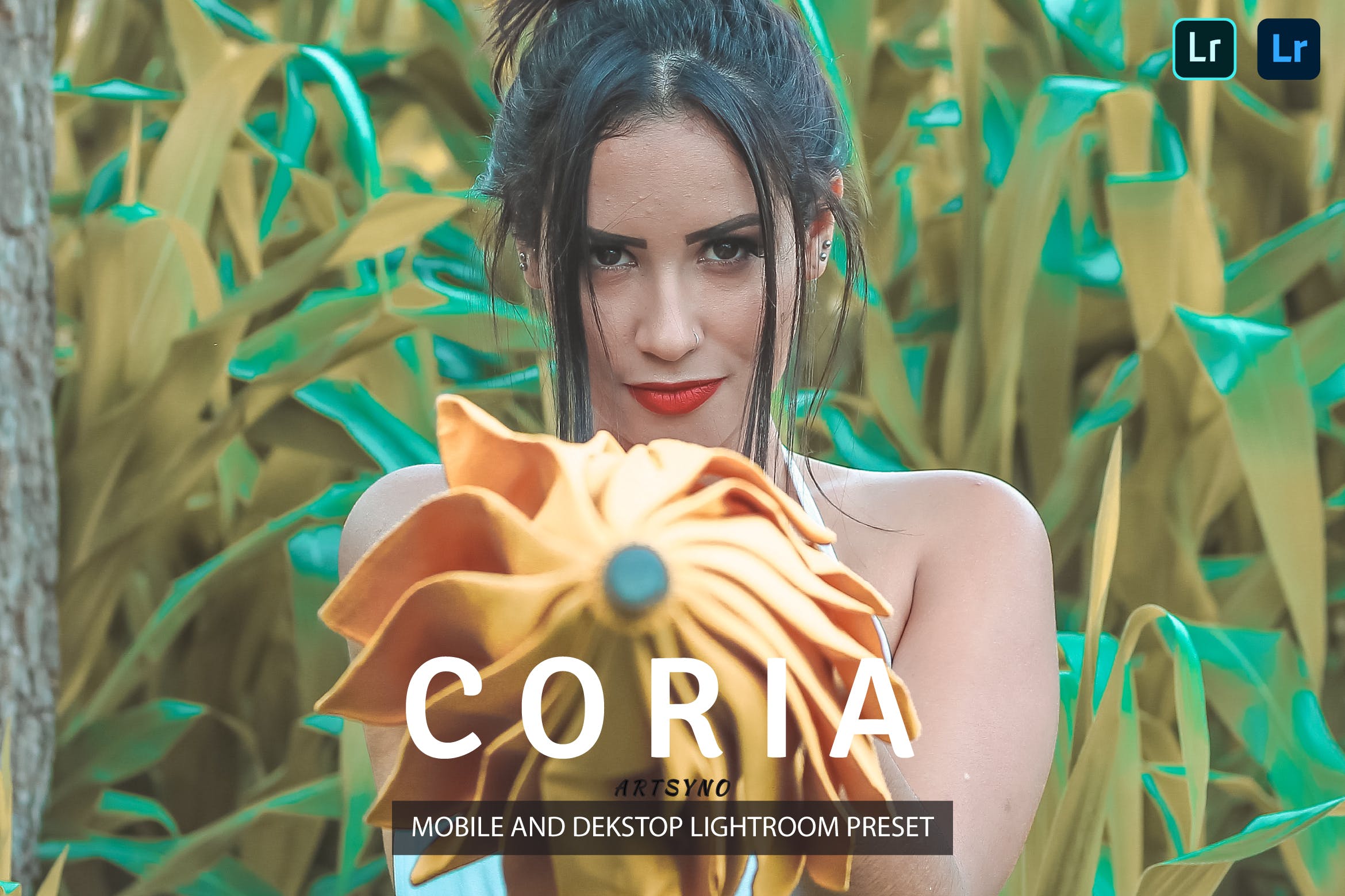 科里亚调色预设 Coria Lightroom Presets Dekstop and Mobile
