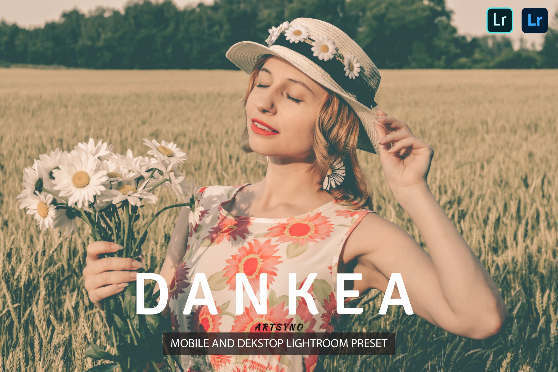 登基调色预设 Denkea Lightroom Presets Dekstop and Mobile