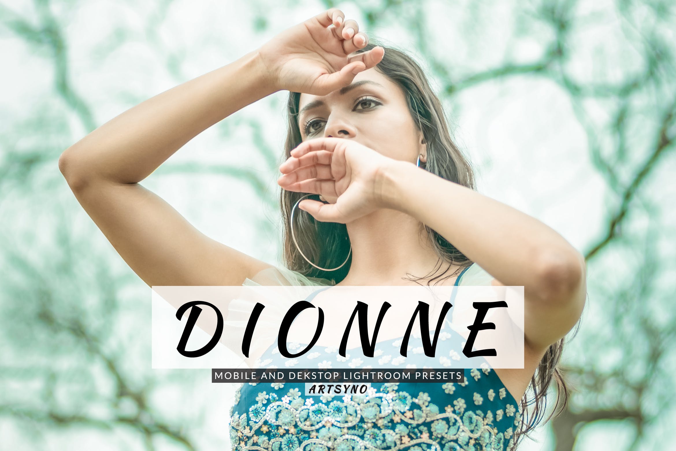 迪翁调色预设 Dionne Lightroom Presets Dekstop and Mobile