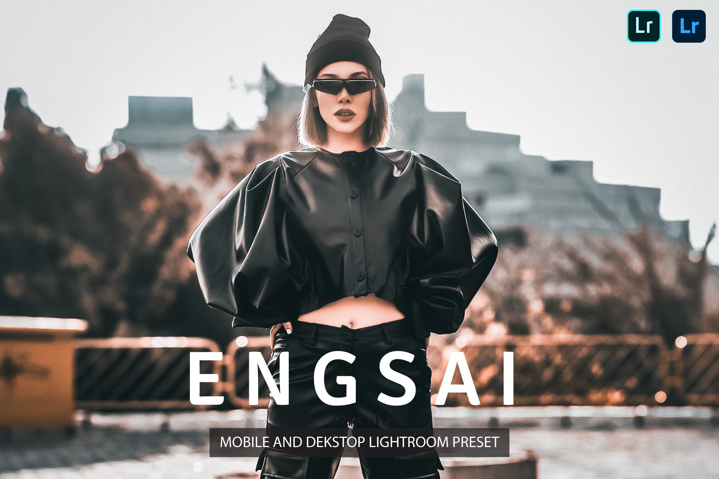 恩赛调色预设 Engsai Lightroom Presets Dekstop and Mobile