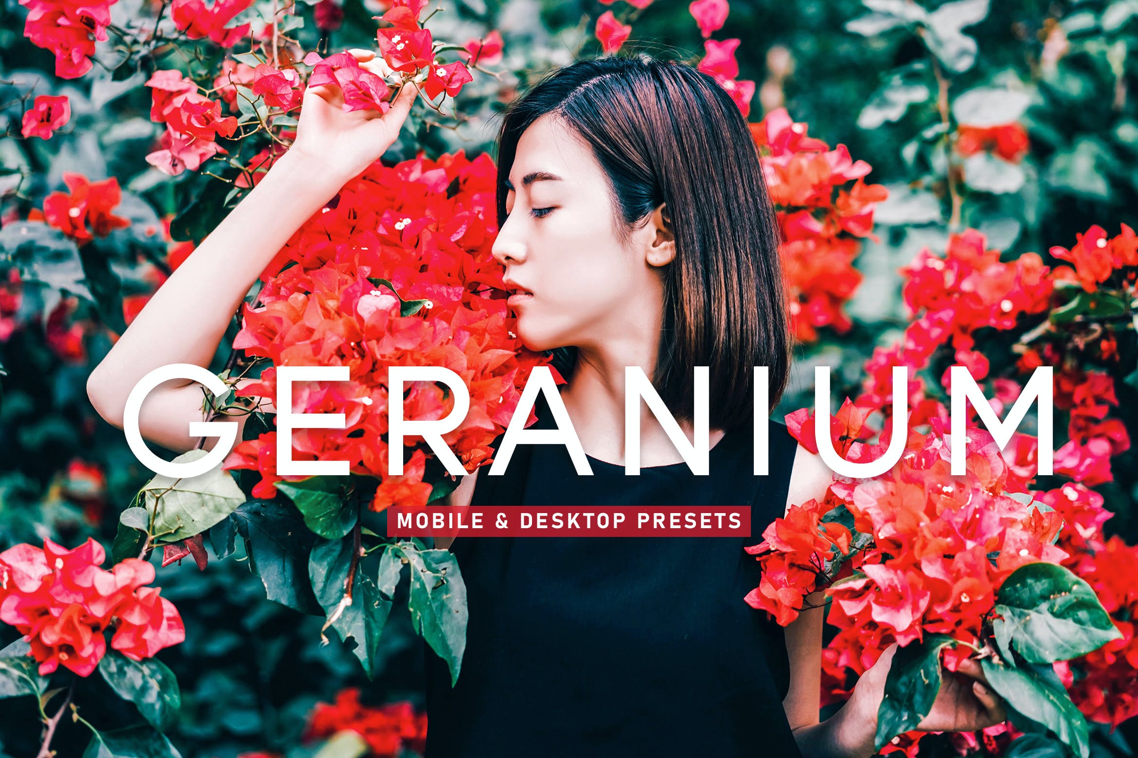 天竺葵调色预设 Mobile & Desktop Lightroom Presets