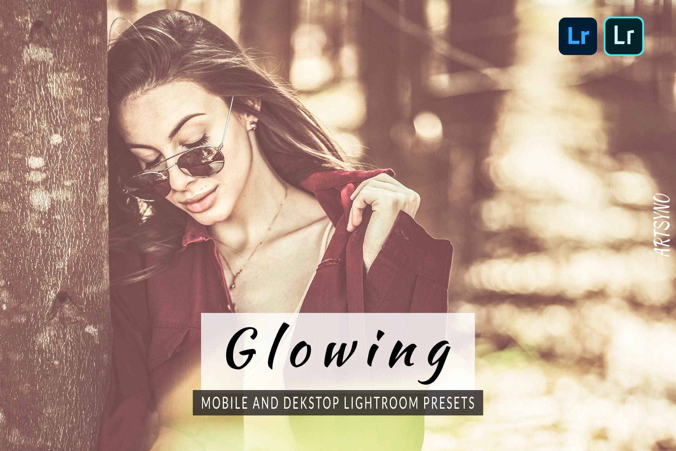 艺术的调色预设 Lightroom Presets Dekstop and Mobile