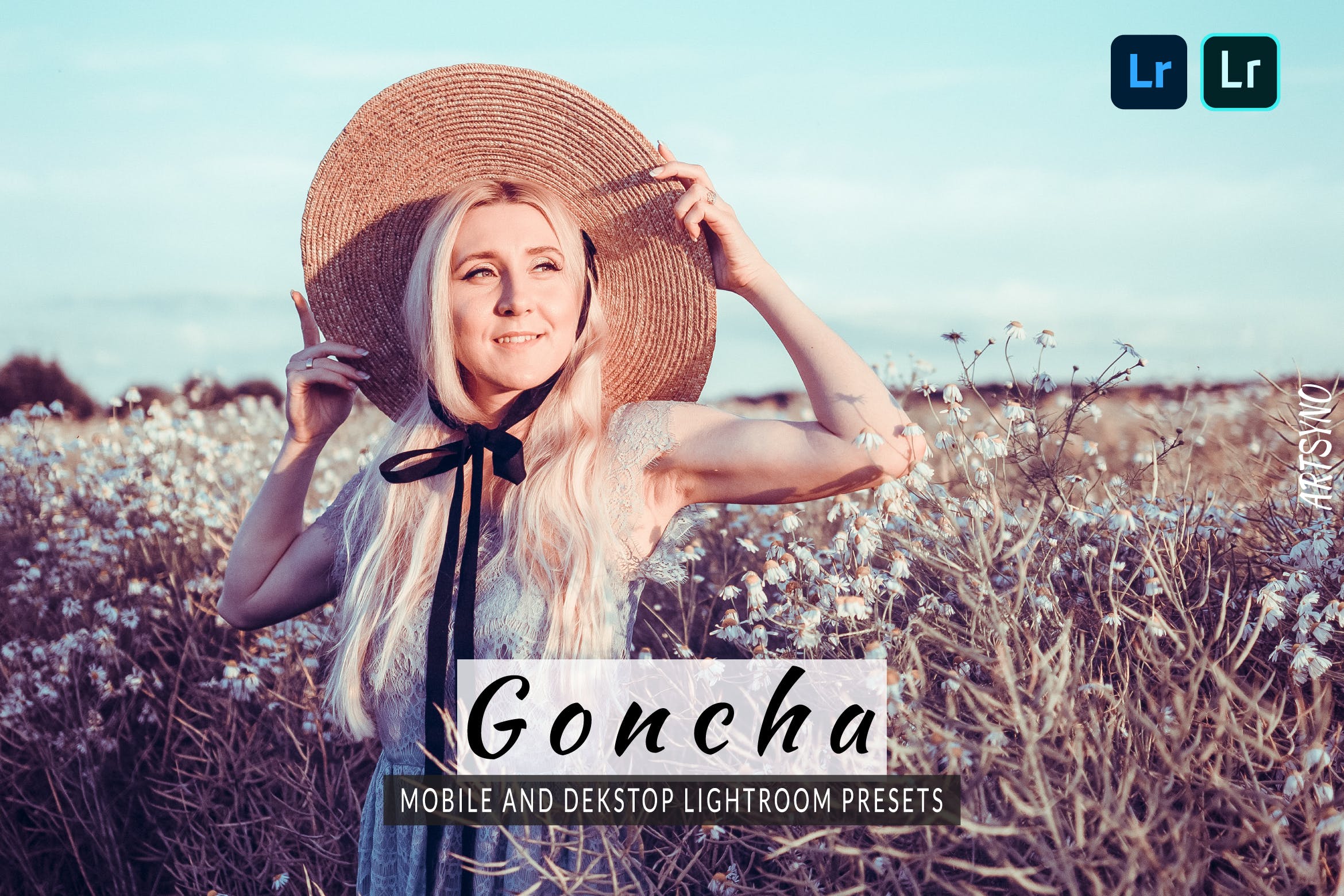 贡查调色预设 Lightroom Presets Dekstop and Mobile