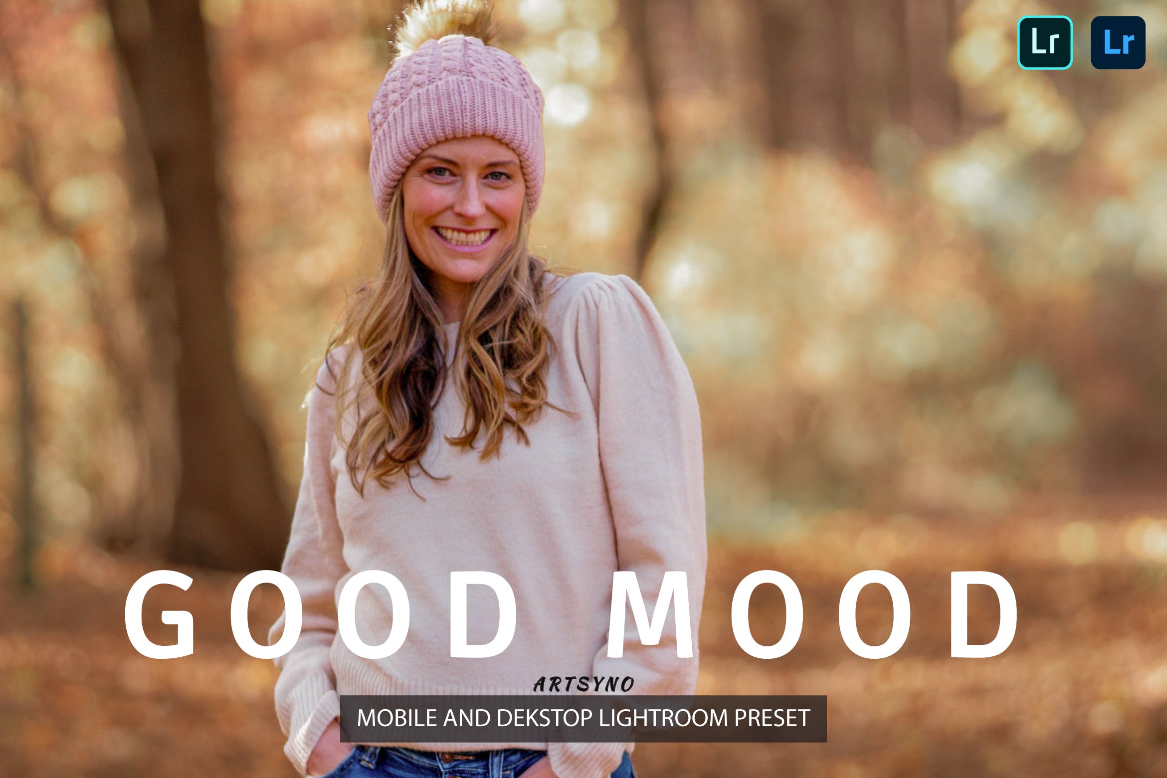 好心情调色预设 Lightroom Presets Dekstop and Mobile