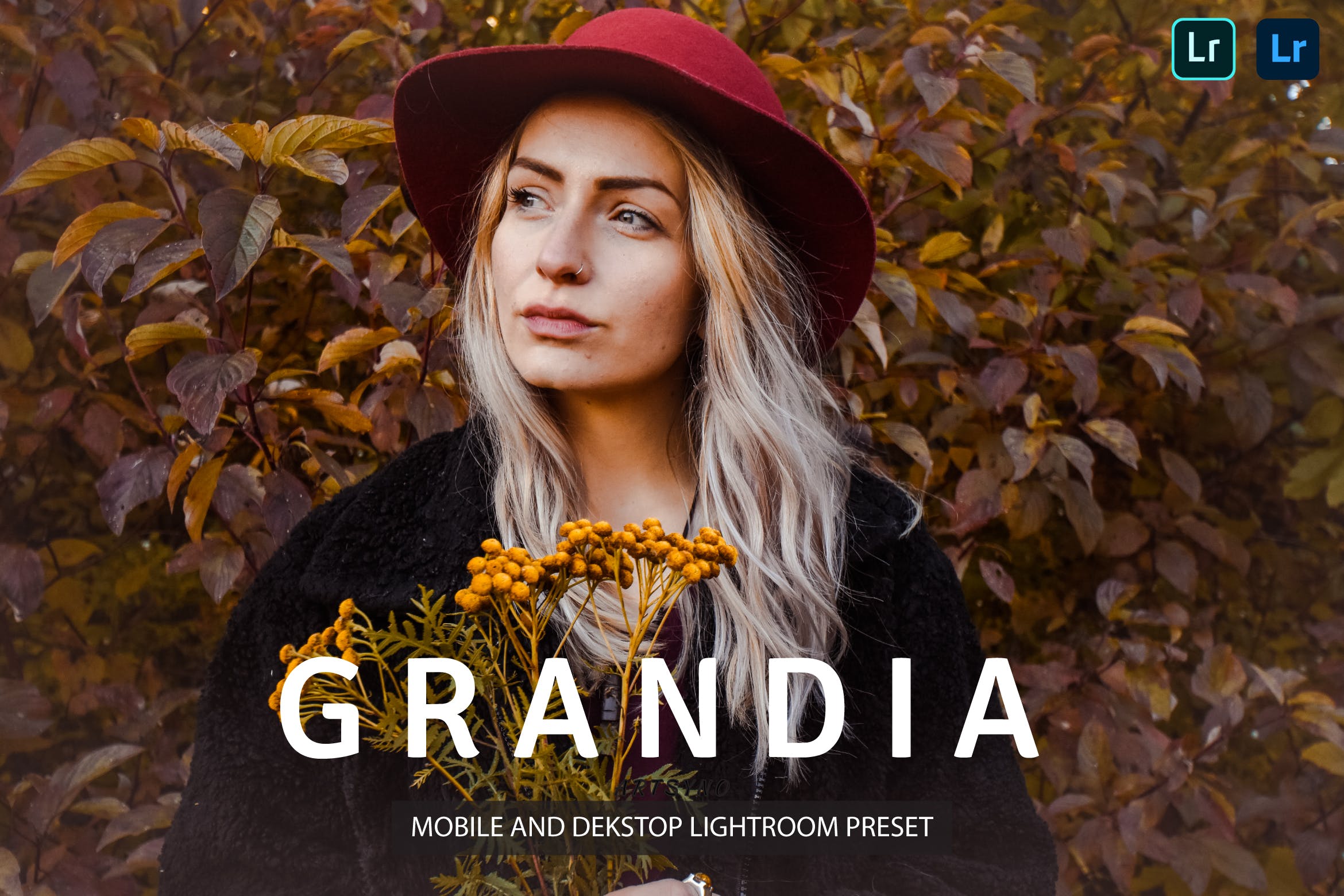 格兰迪亚调色预设 Lightroom Presets Dekstop and Mobile