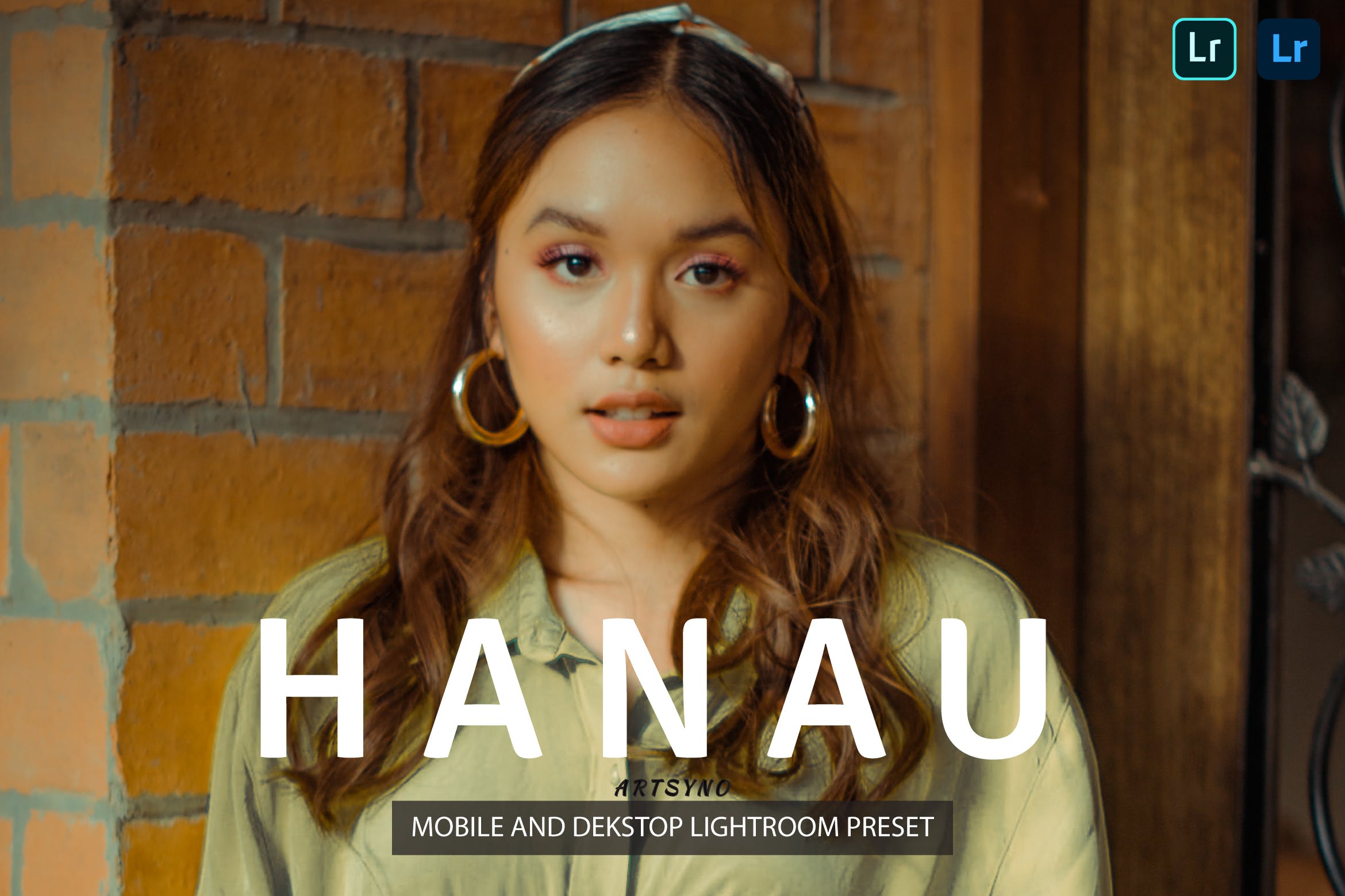 哈瑙调色预设 Presets Dekstop and Mobile