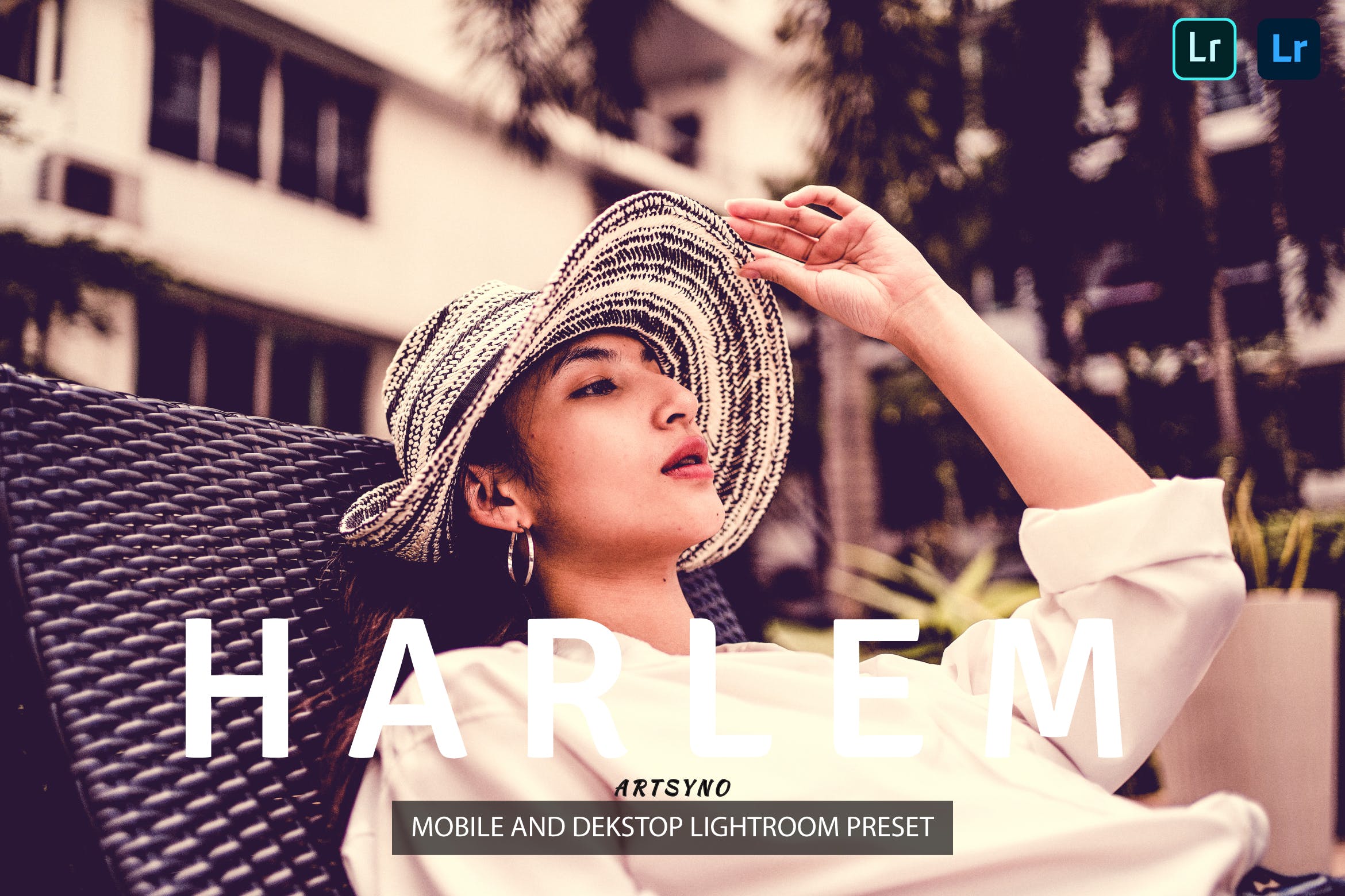 哈莱姆调色预设 Presets Dekstop and Mobile