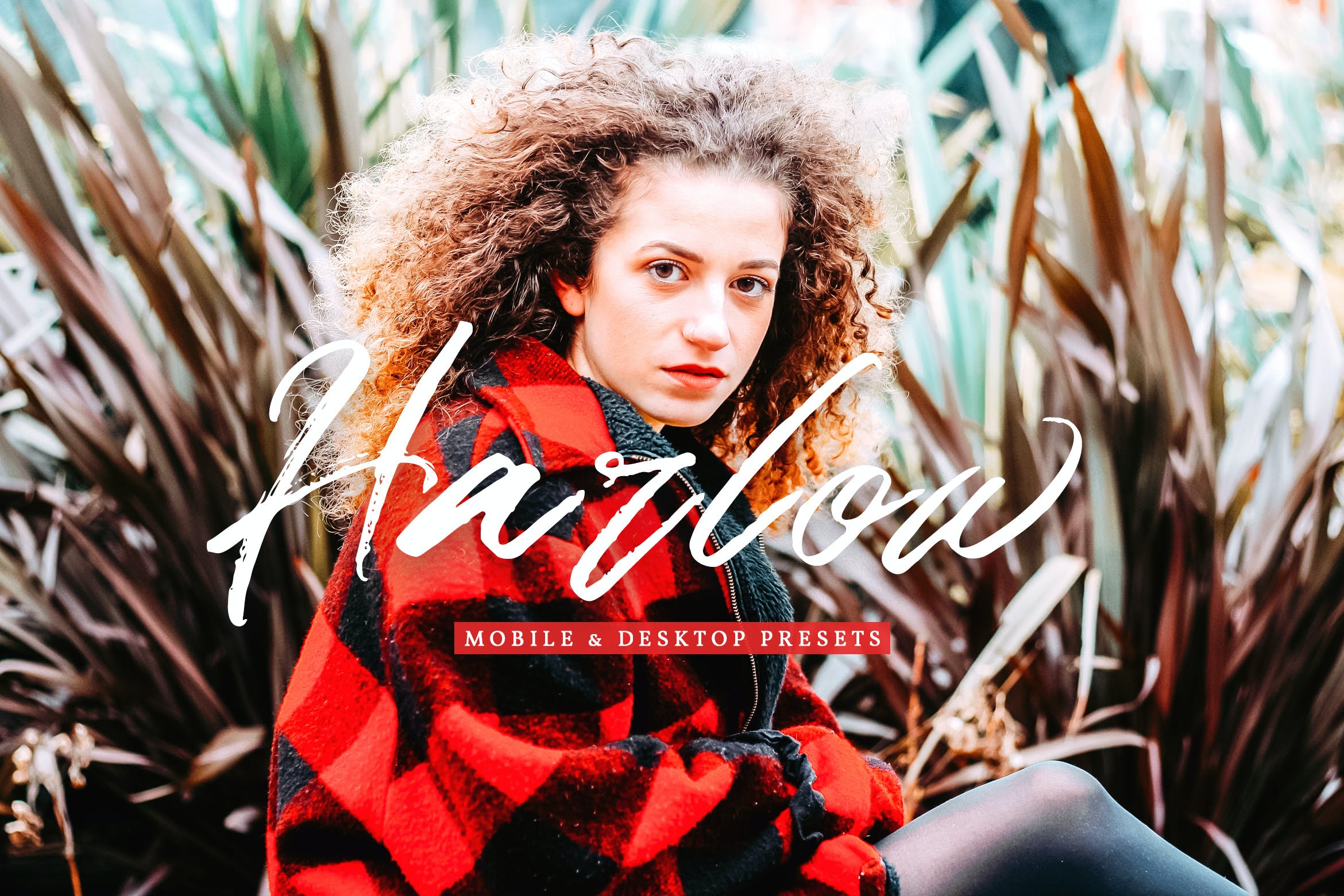 哈洛调色预设 Mobile & Desktop Lightroom Presets