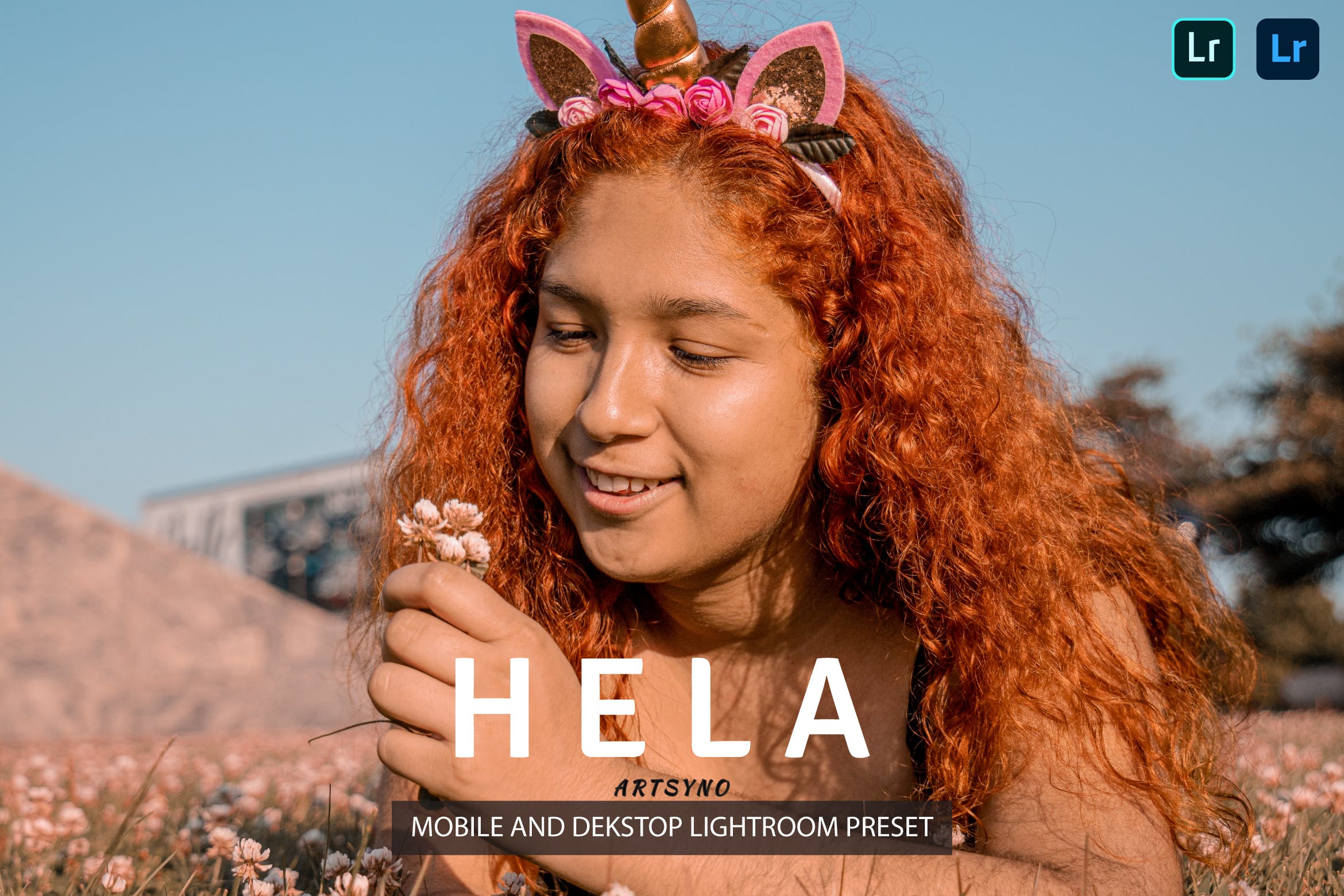 海拉调色预设 Presets Dekstop and Mobile