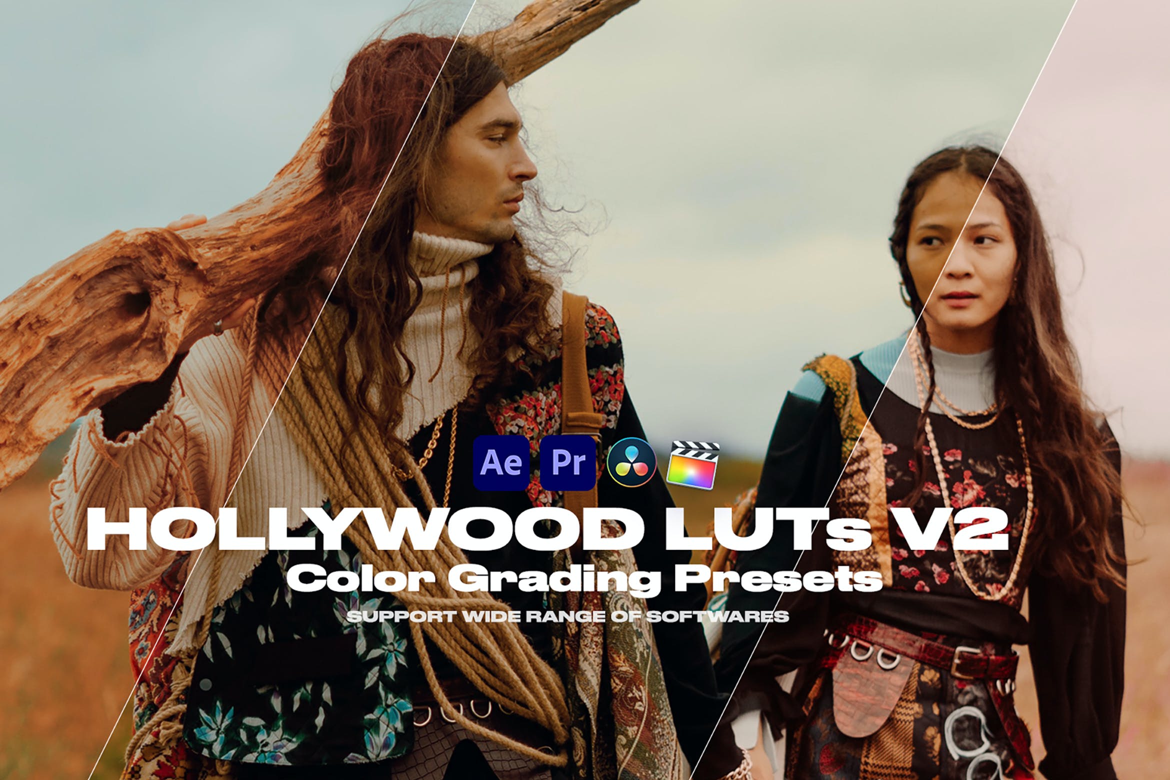 好莱坞调色预设 Hollywood Looks