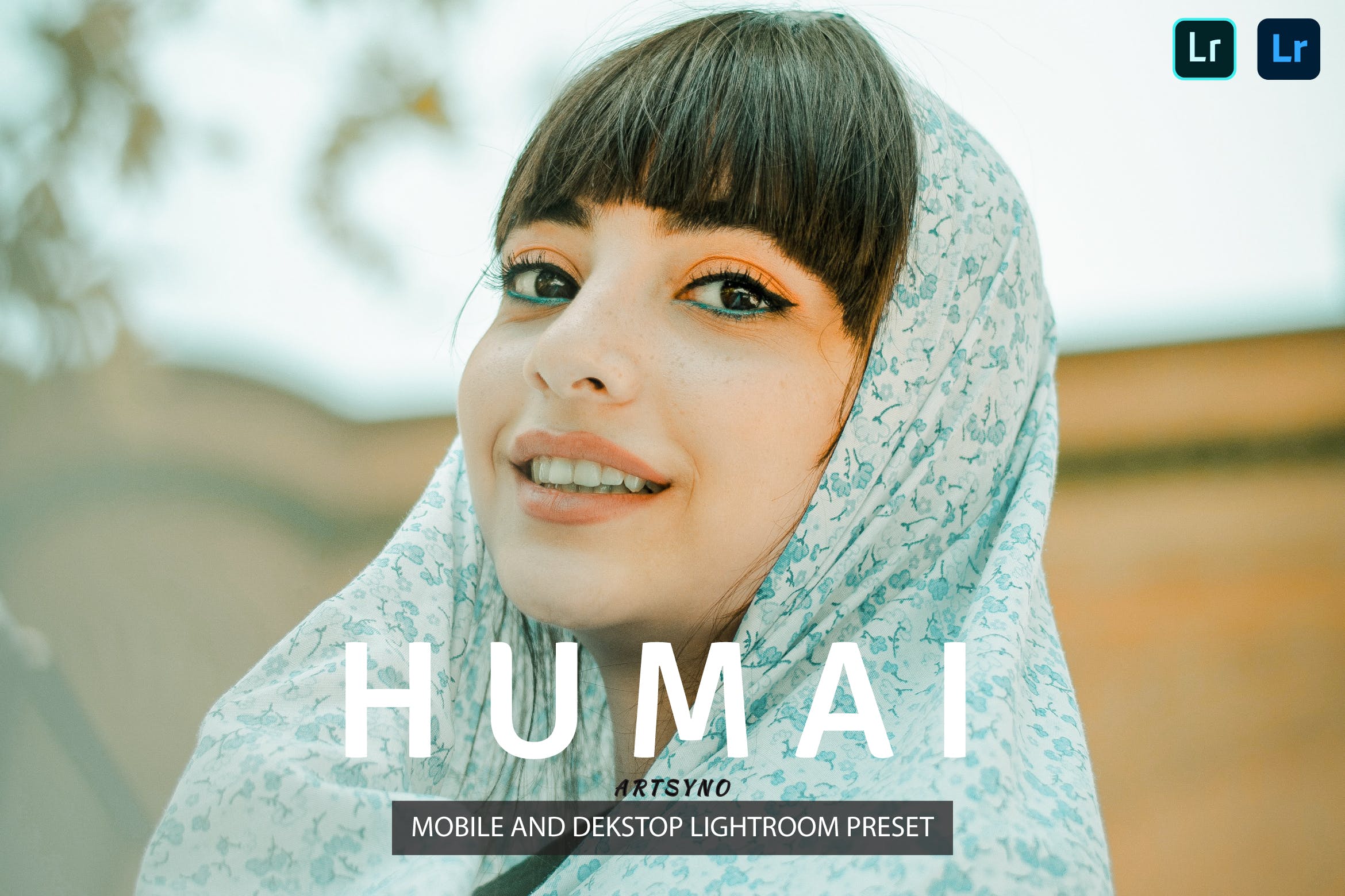 虎迈调色预设 Presets Dekstop and Mobile