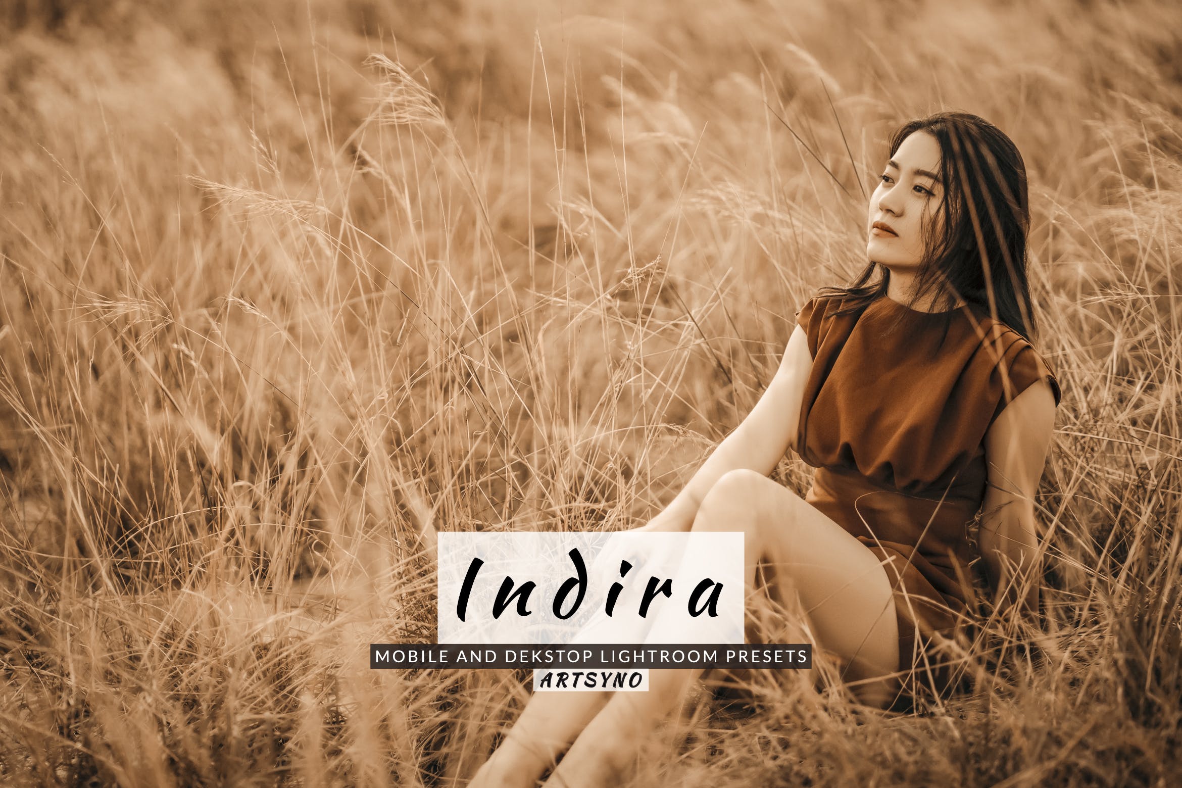 英迪拉调色预设 Presets Dekstop and Mobile