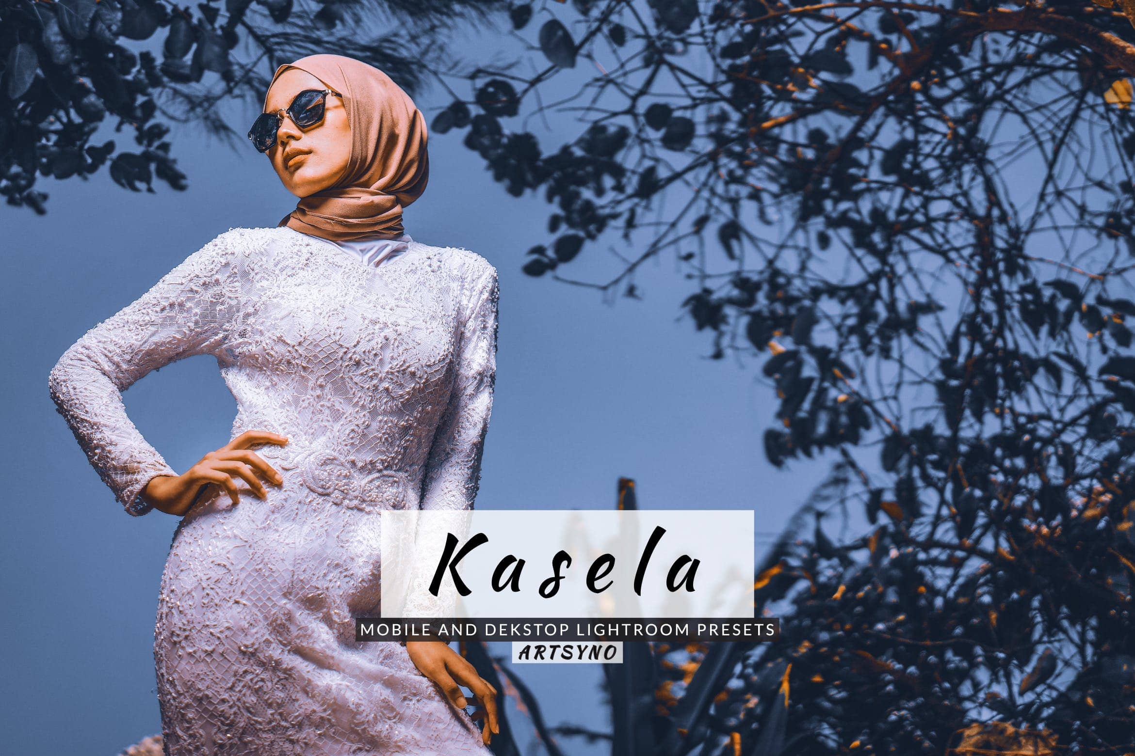 卡塞拉调色预设 Dekstop and Mobile