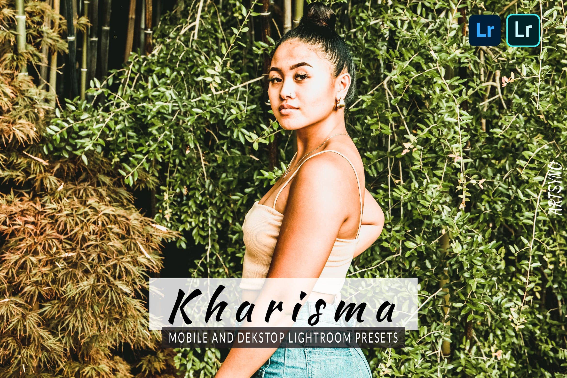 艺术的摄影调色预设 Presets Dekstop and Mobile