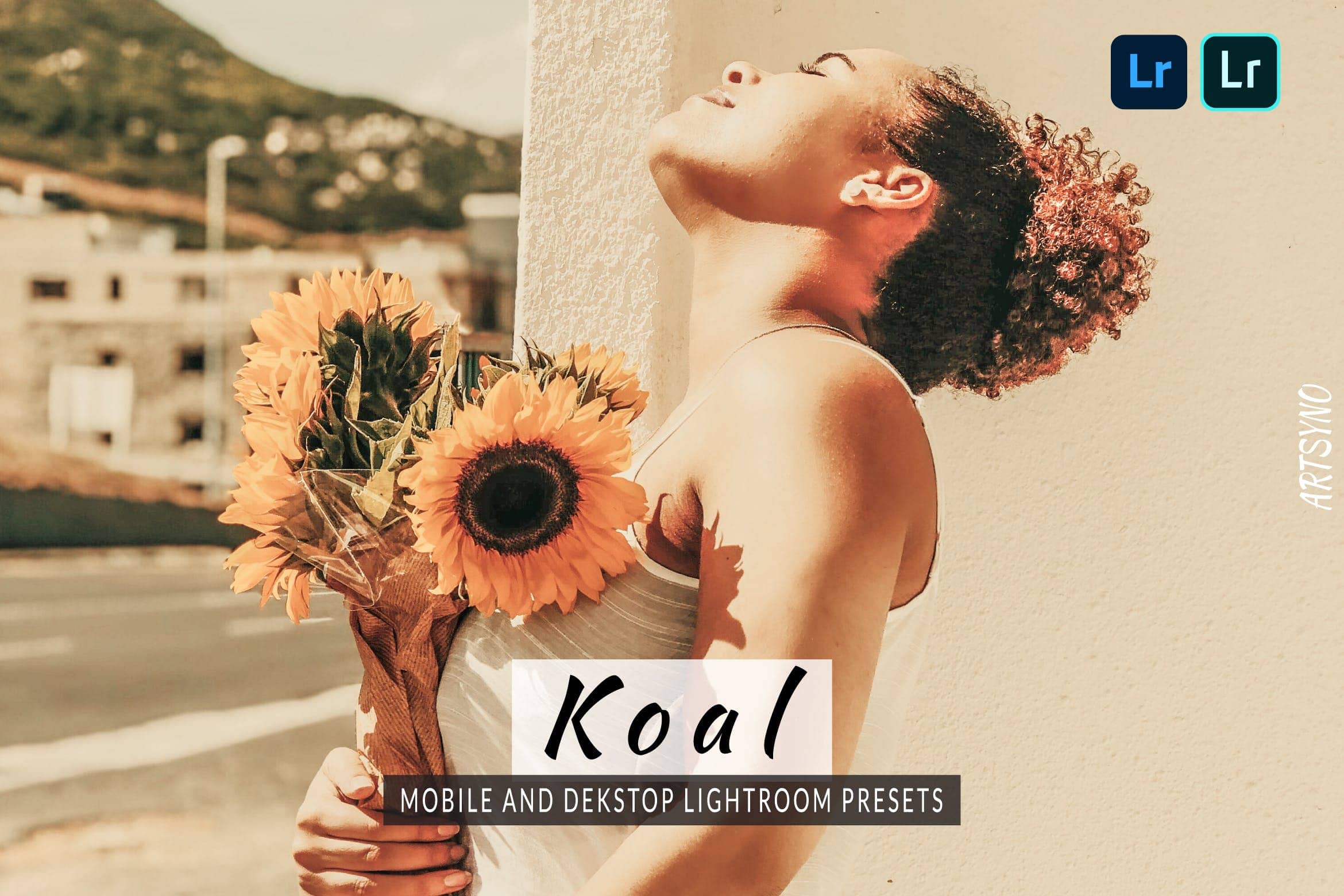 考尔灯室调色预设 Presets Dekstop and Mobile