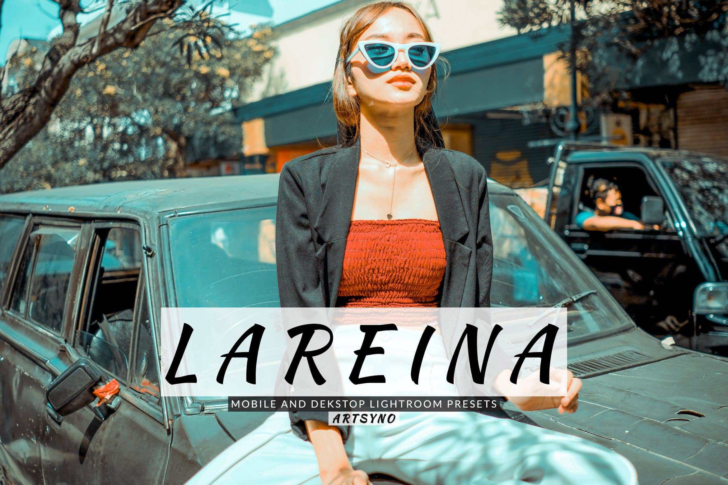 拉雷纳调色预设  Lightroom Presets Dekstop and Mobile