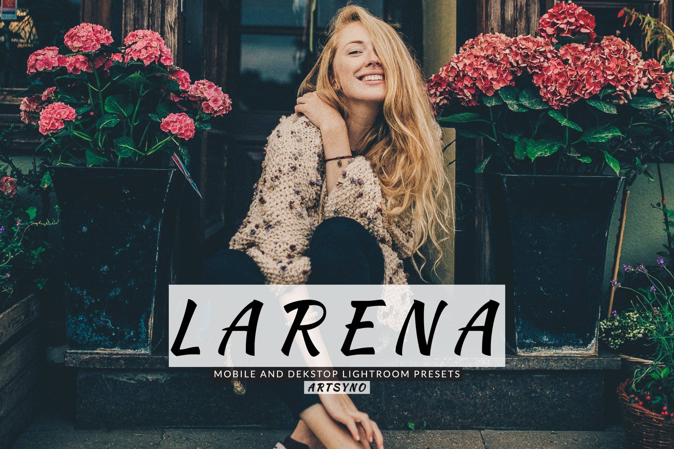 拉雷纳灯室调色预设 Lightroom Presets Dekstop and Mobile