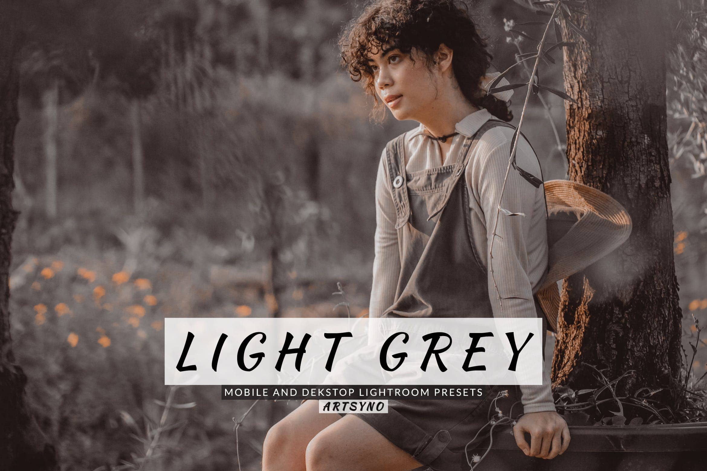 浅灰色调色预设 Light Grey Lightroom Presets Dekstop and Mobile