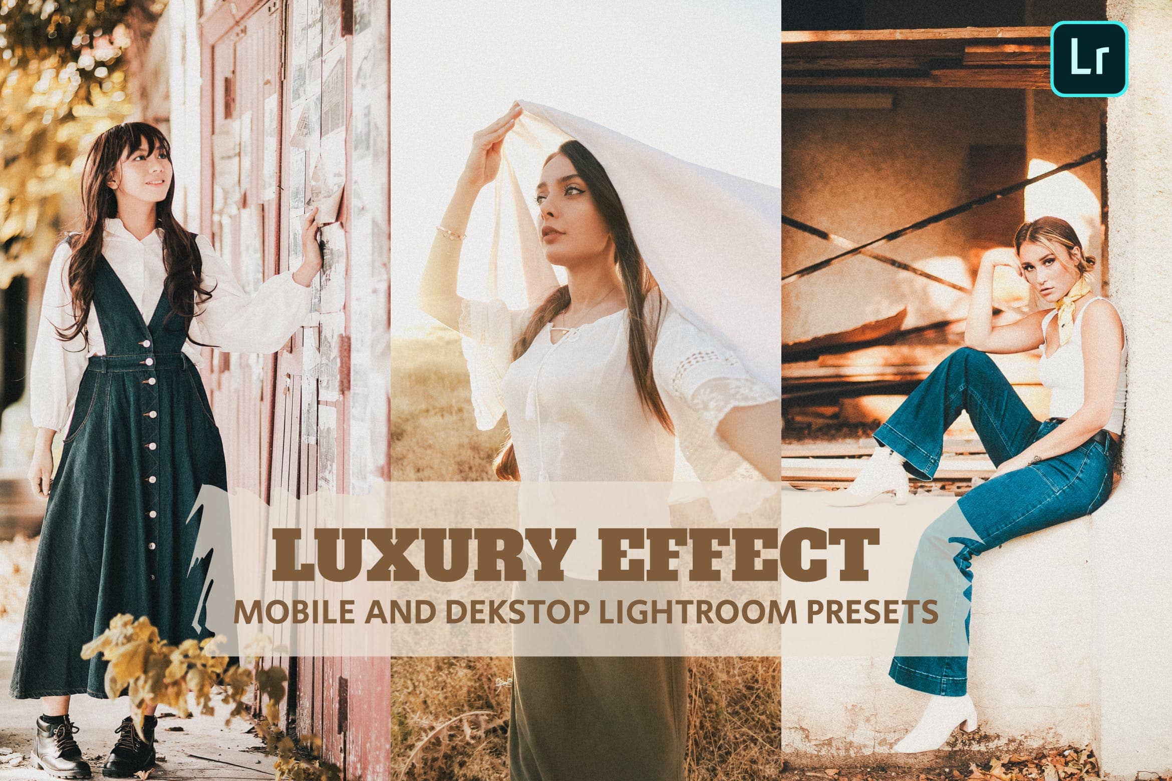 豪华效果调色预设 Presets Dekstop and Mobile