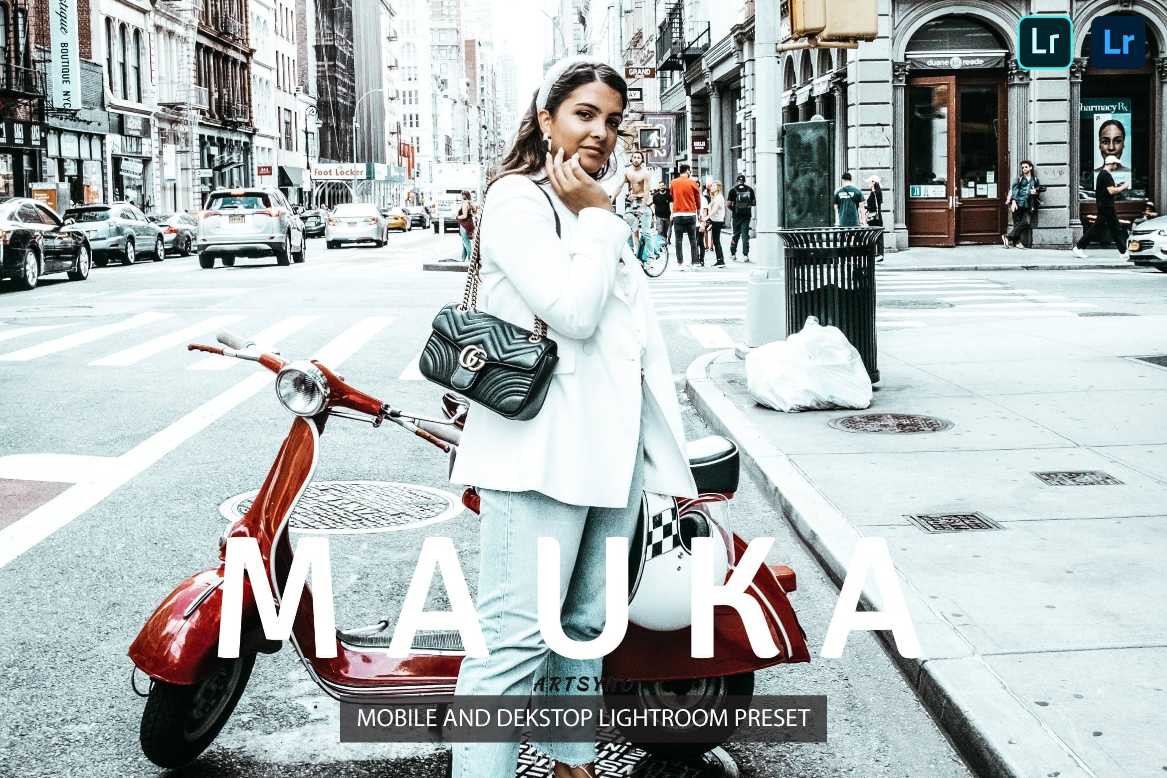 毛卡调色预设  Presets Dekstop and Mobile