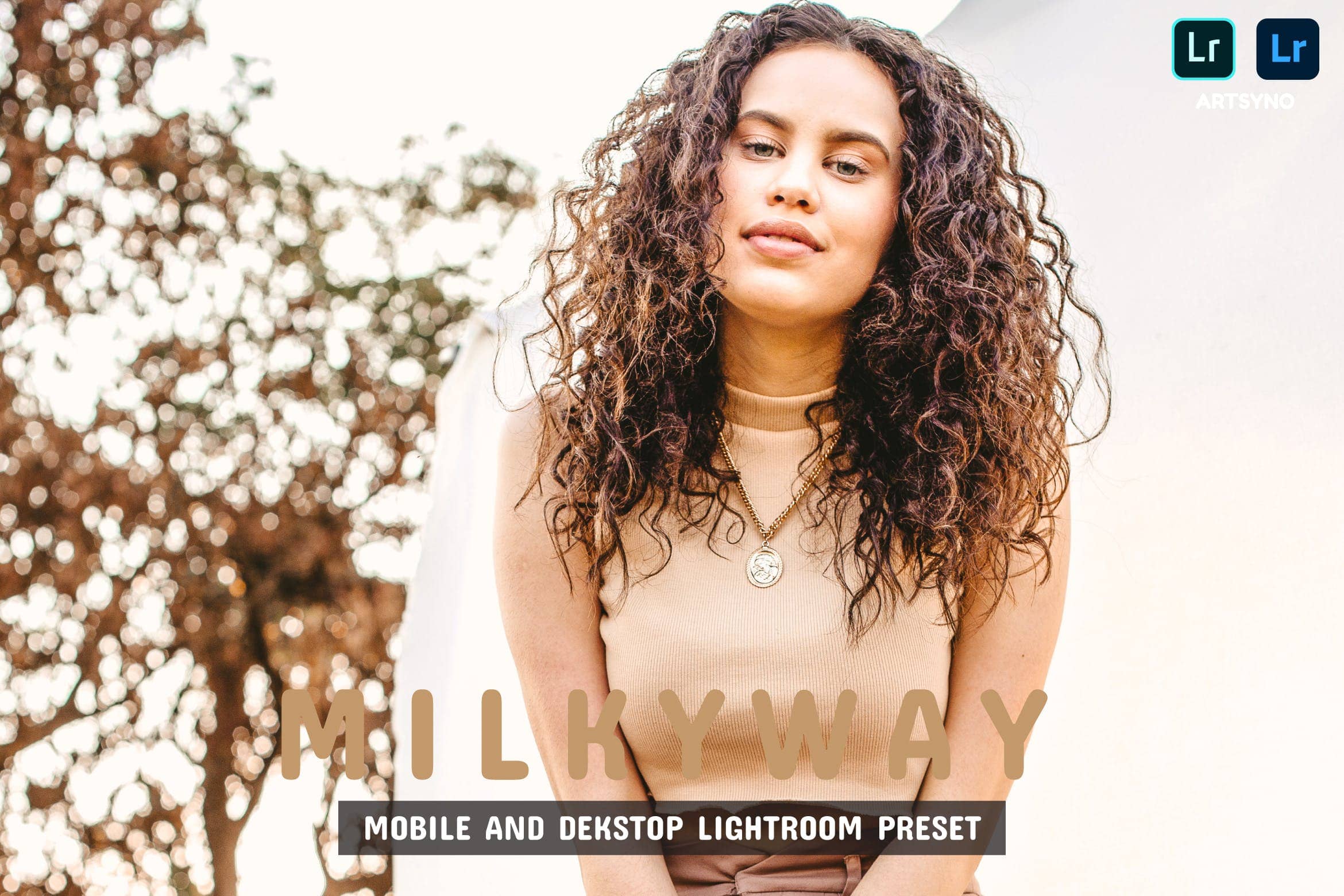 银河灯室调色预设 Presets Dekstop and Mobile