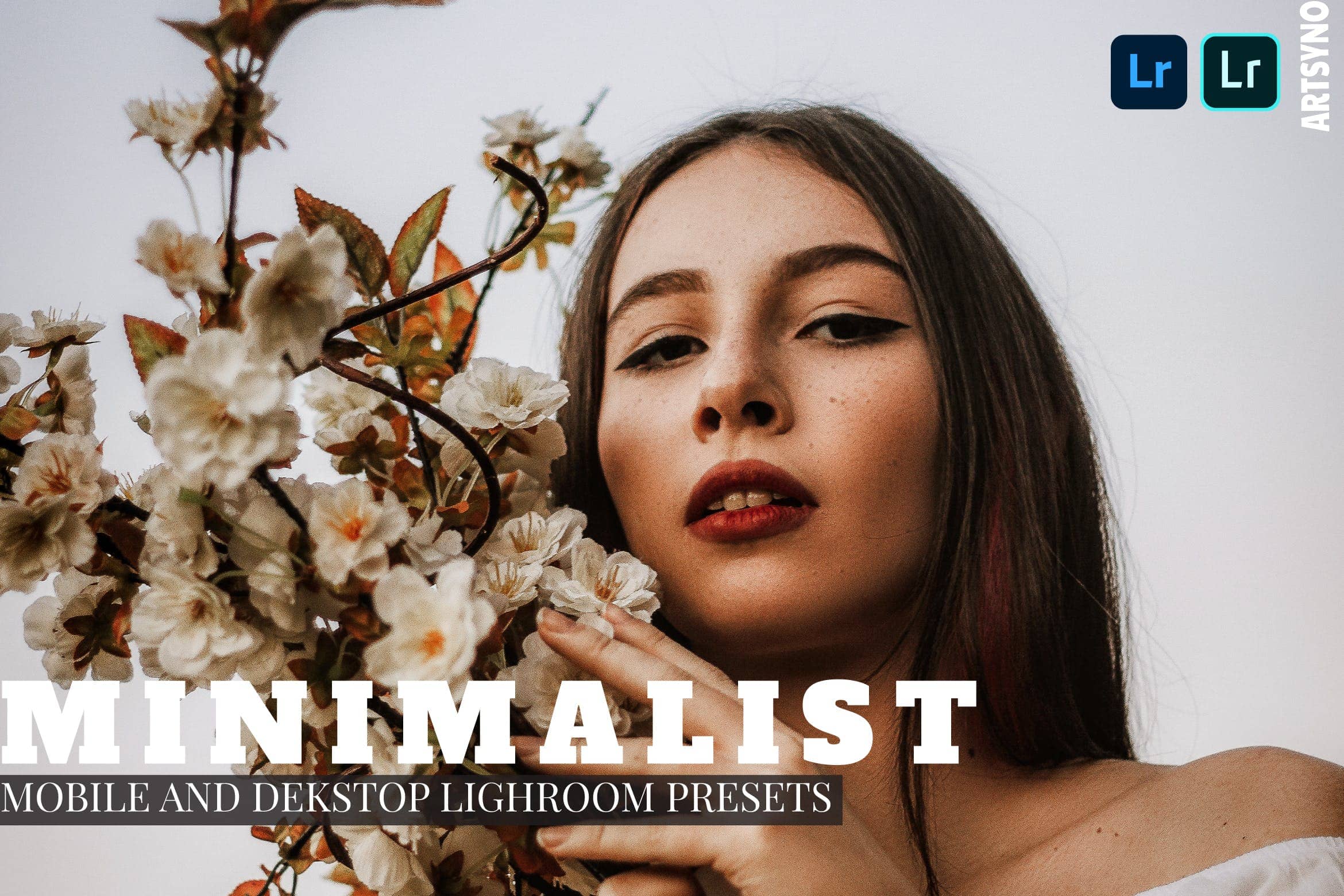 极简主义的调色预设 Presets Dekstop and Mobile