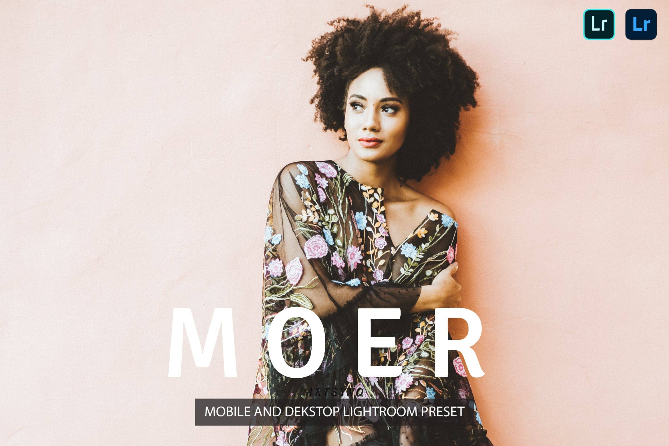 莫尔艺术的调色预设 Presets Dekstop and Mobile