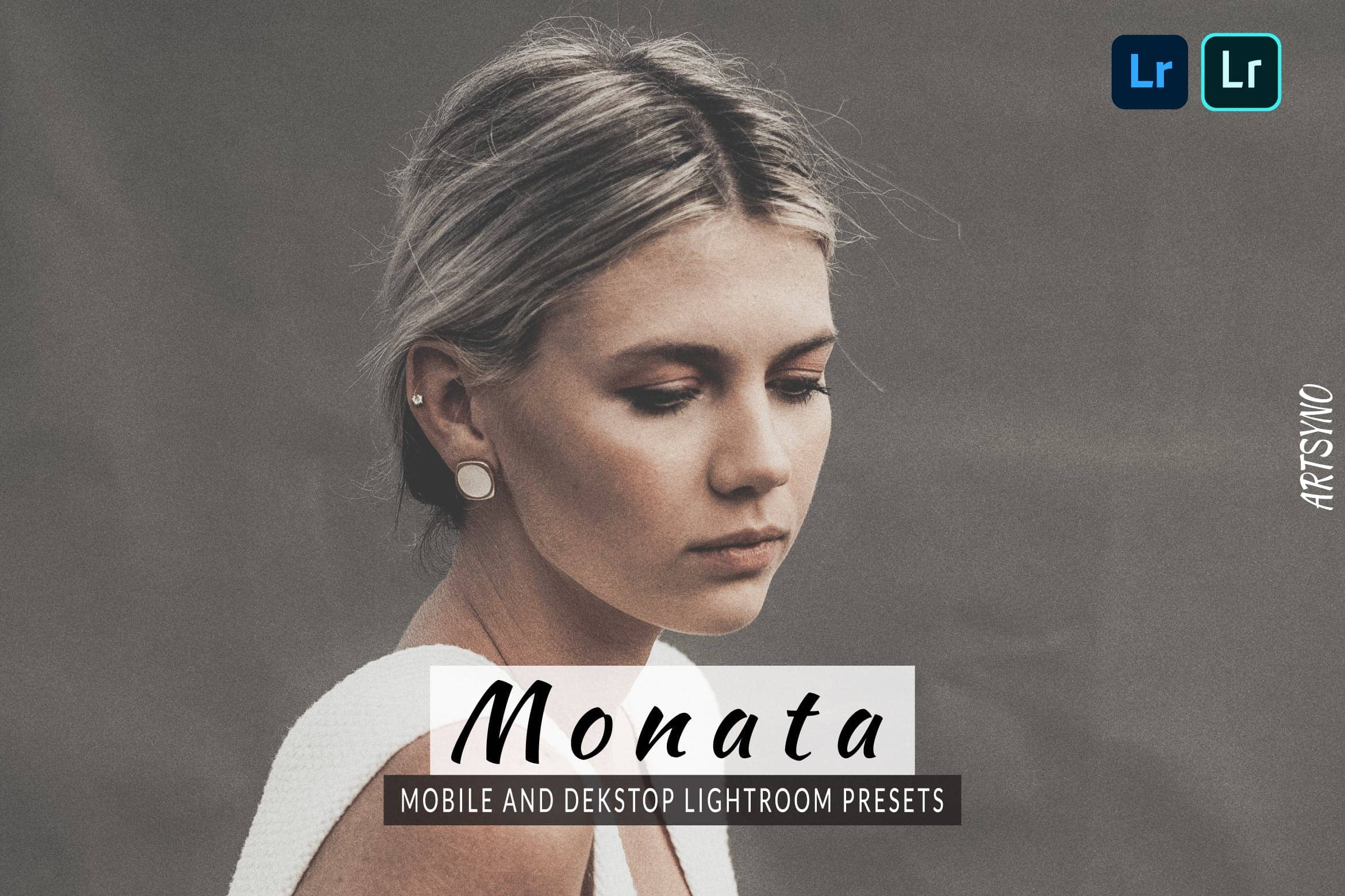 莫纳塔灯室调色预设 Presets Dekstop and Mobile