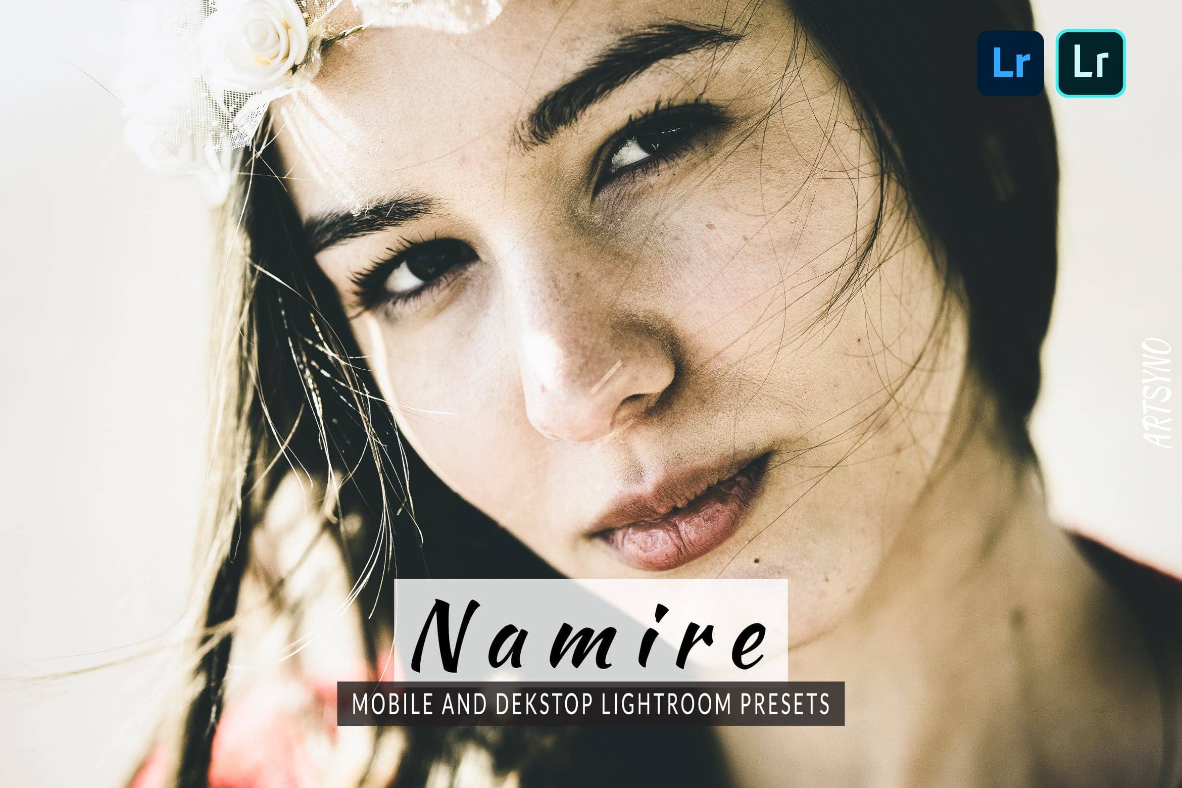 纳米尔调色预设 Presets Dekstop and Mobile