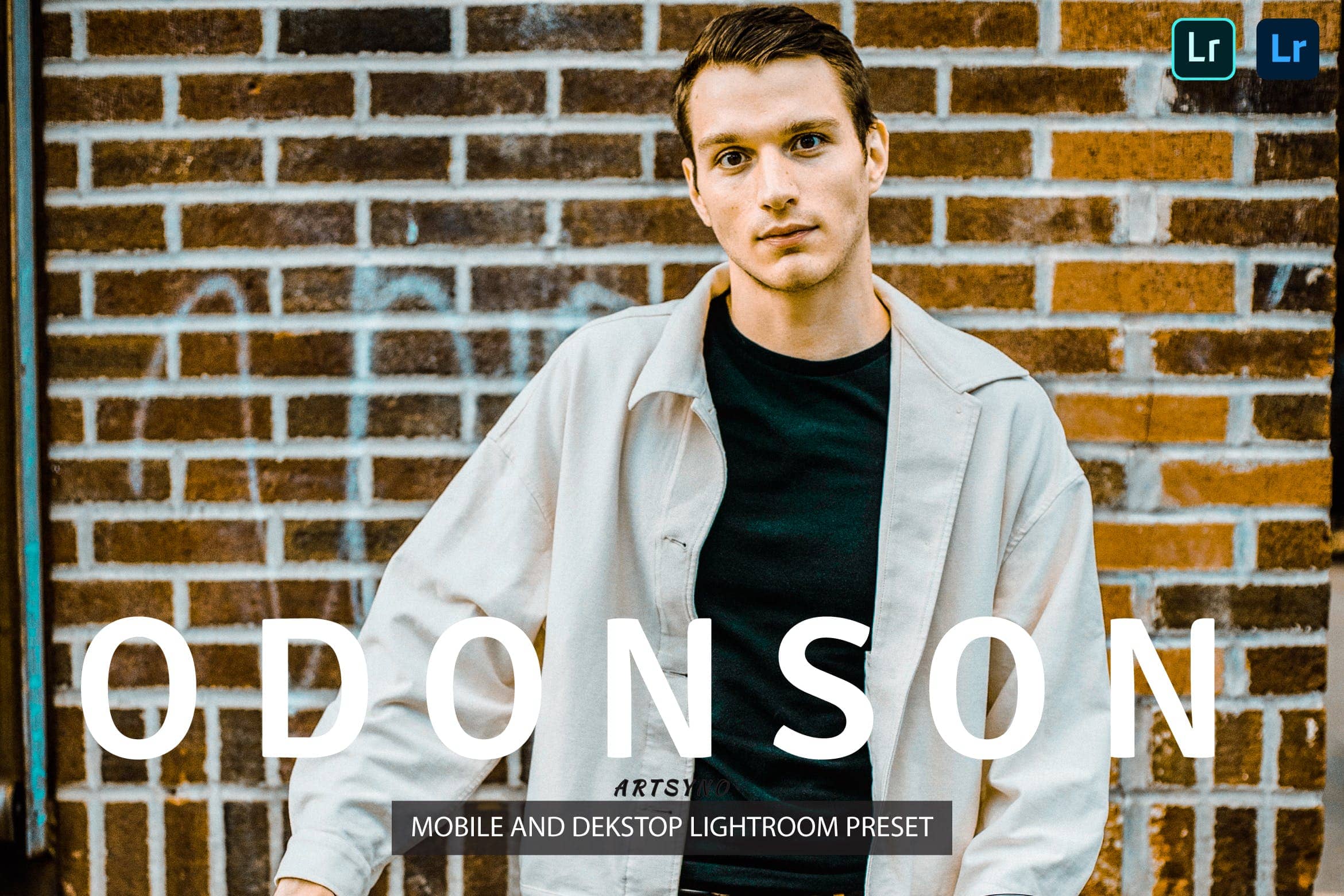 奥东森调色预设 Presets Dekstop and Mobile