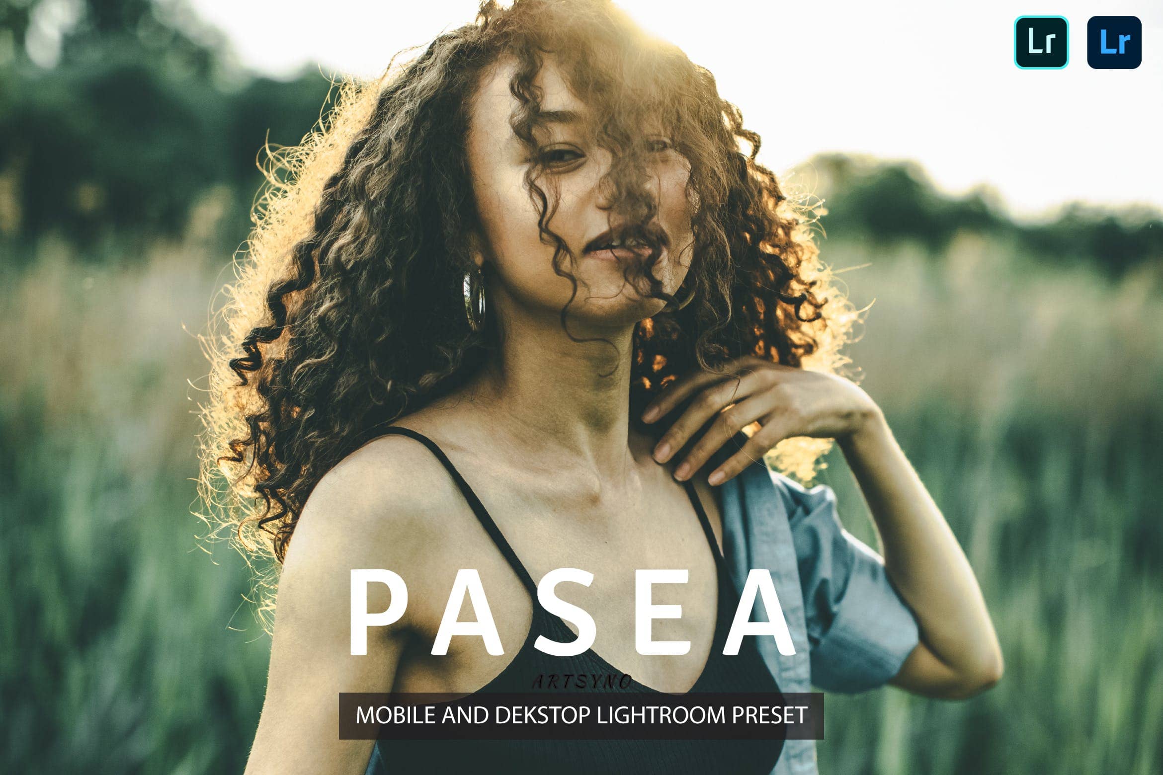 帕西调色预设 Presets Dekstop and Mobile