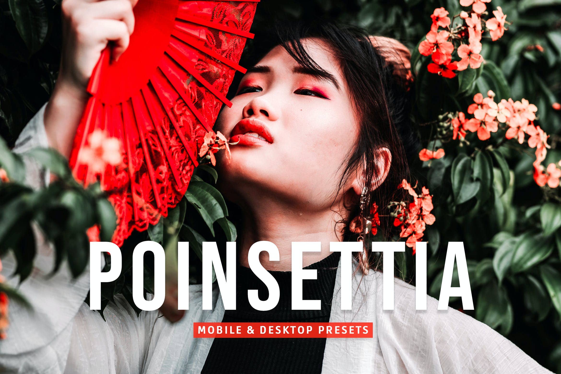 一品红调色预设 Mobile & Desktop Lightroom Presets