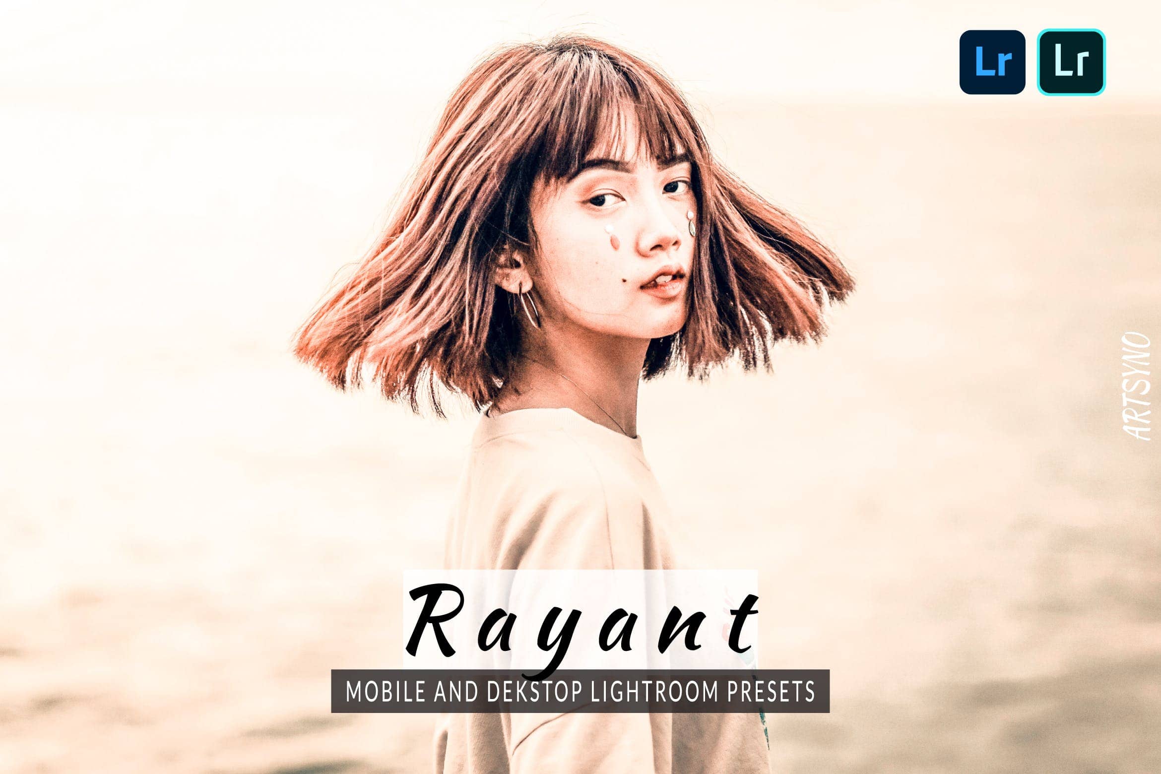 雷恩特调色预设 Presets Dekstop and Mobile