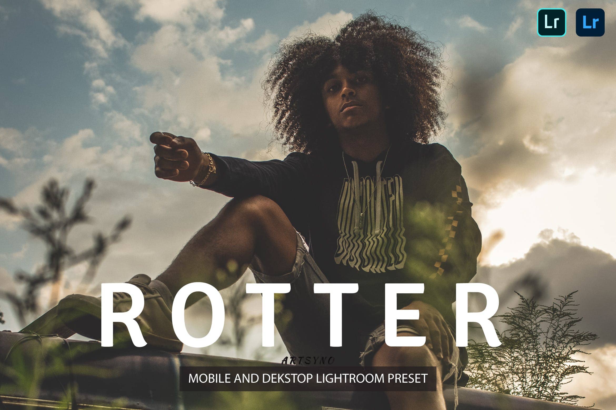 罗特尔调色预设 Dekstop and Mobile