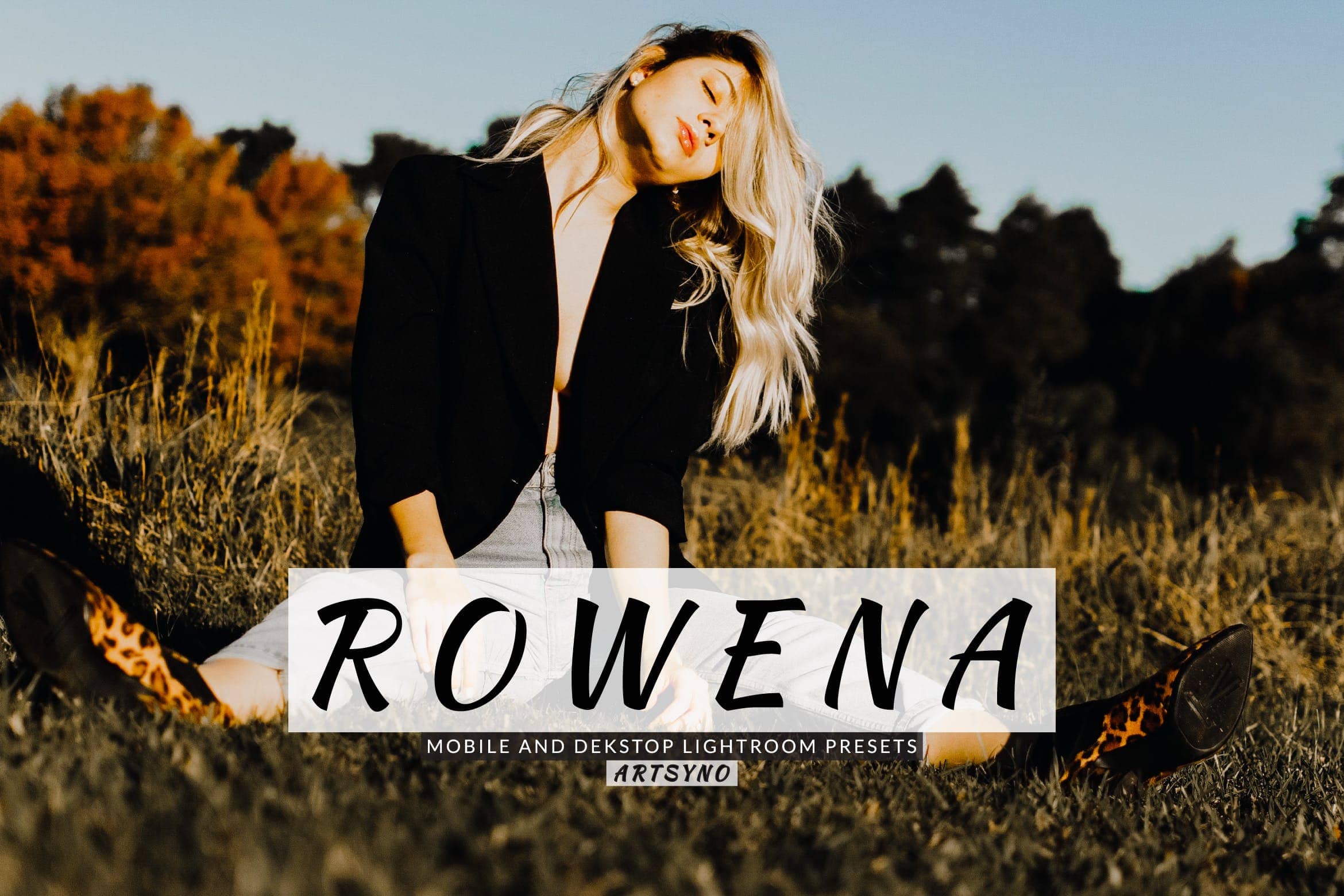 罗伊纳调色预设 Dekstop and Mobile