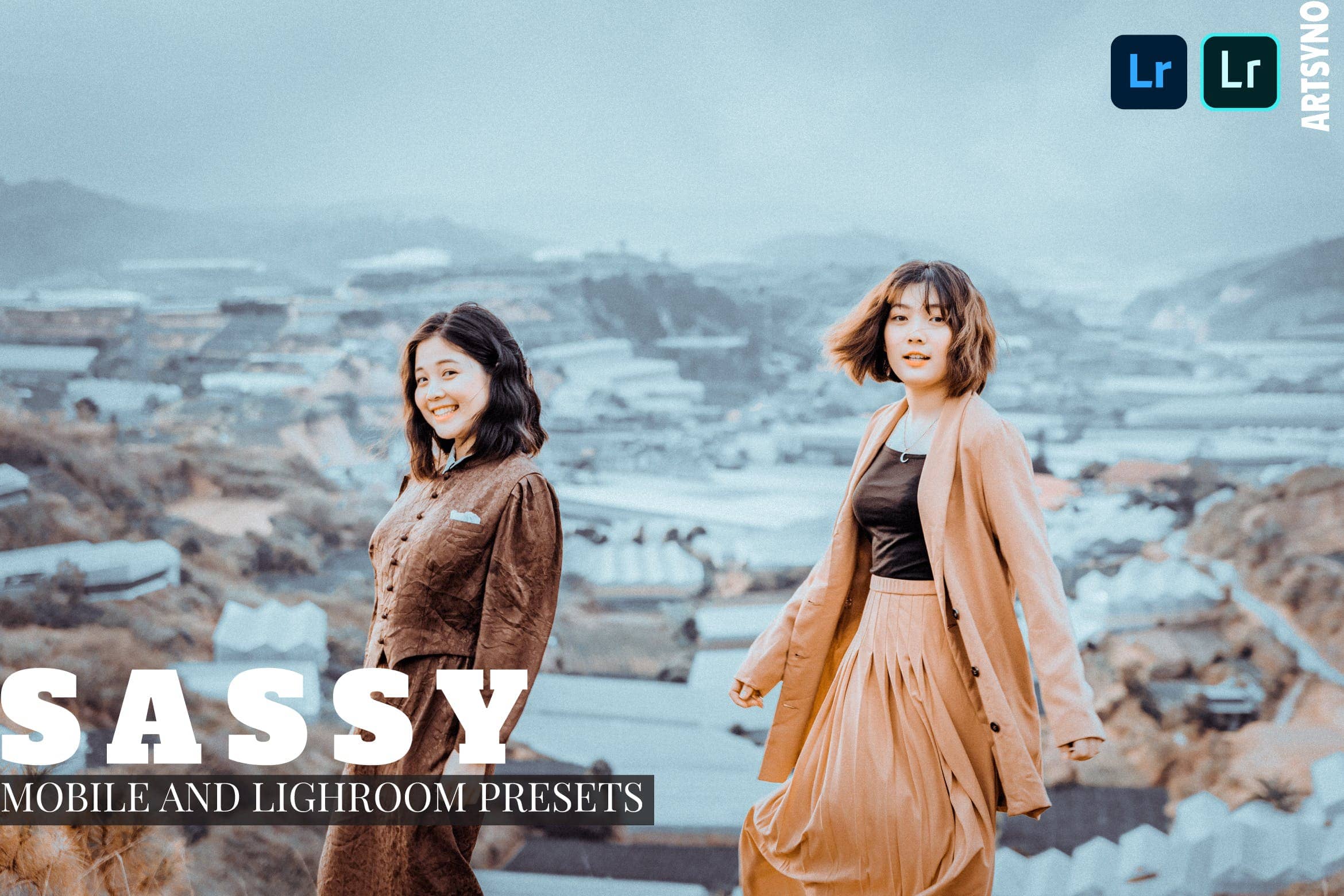 时髦的调色预设 Dekstop and Mobile