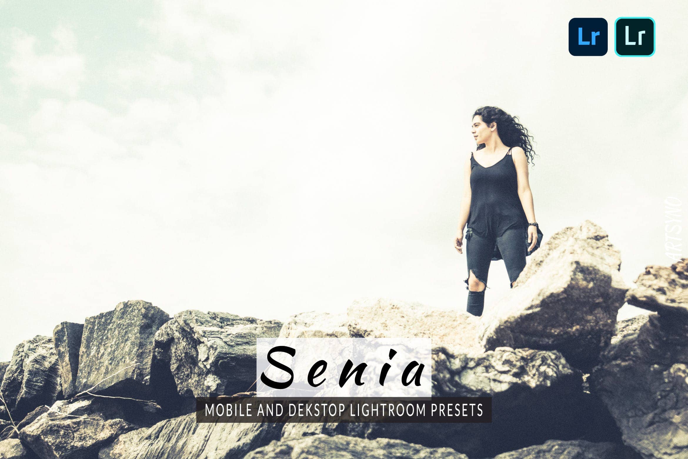 塞尼亚调色预设 Presets Dekstop and Mobile