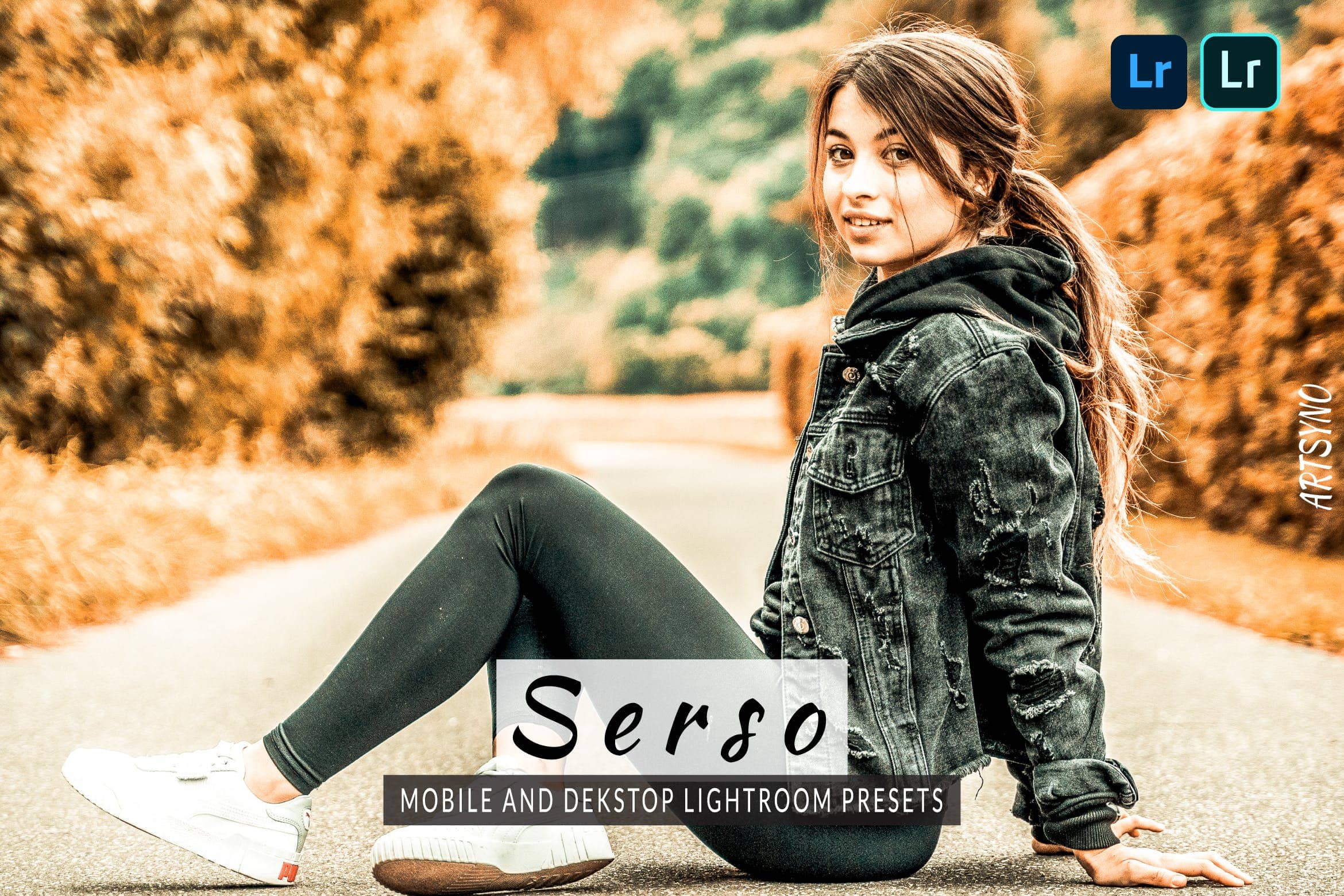 塞尔索调色预设 Presets Dekstop and Mobile